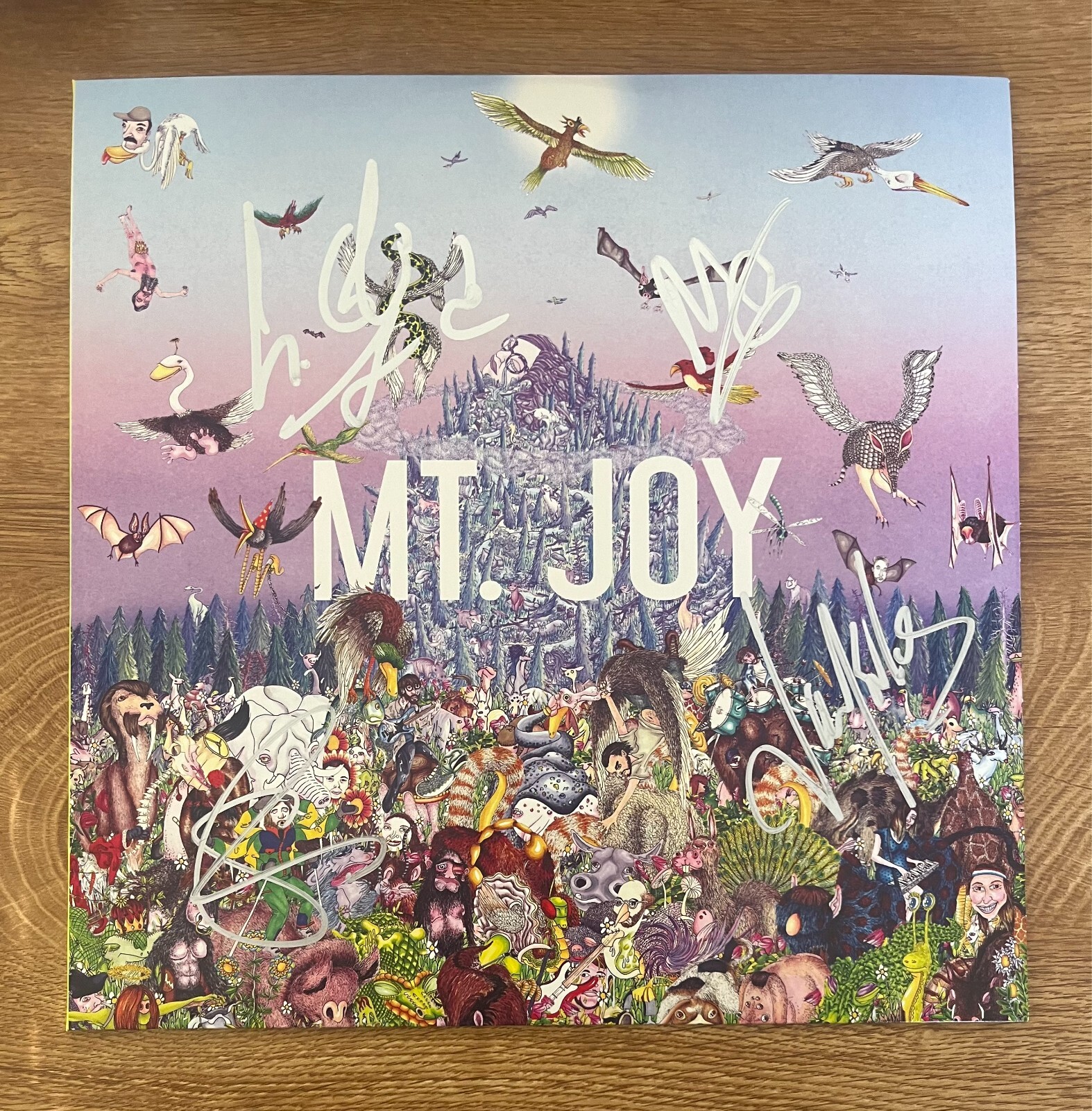 * MT. JOY * signed vinyl album * REARRANGE US * 2