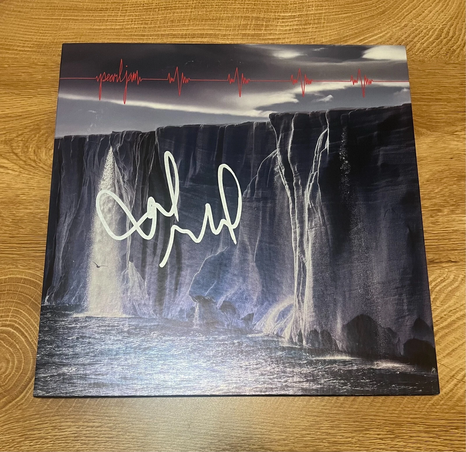 * MIKE MCCREADY * signed vinyl album * PEARL JAM * GIGATON *