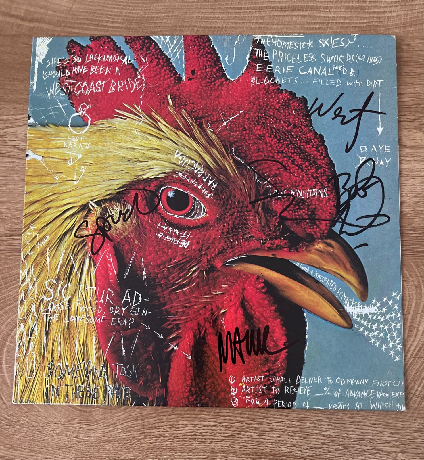 * PAVEMENT * signed vinyl album * WATERY, DOMESTIC * STEPHEN MALKMUS *