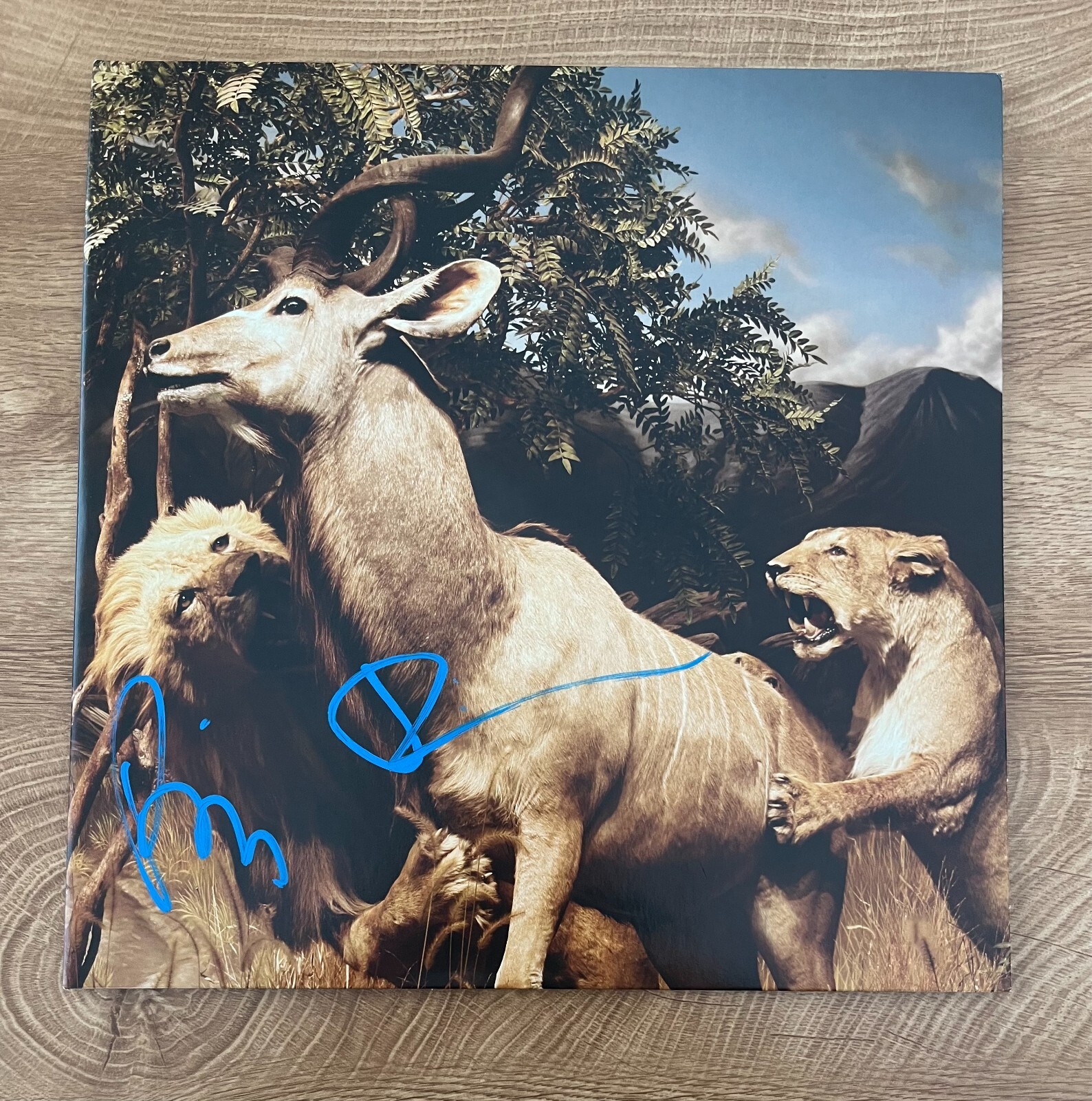 * INTERPOL * signed album * OUR LOVE TO ADMIRE  * PAUL BANKS & DANIEL KESSLER *