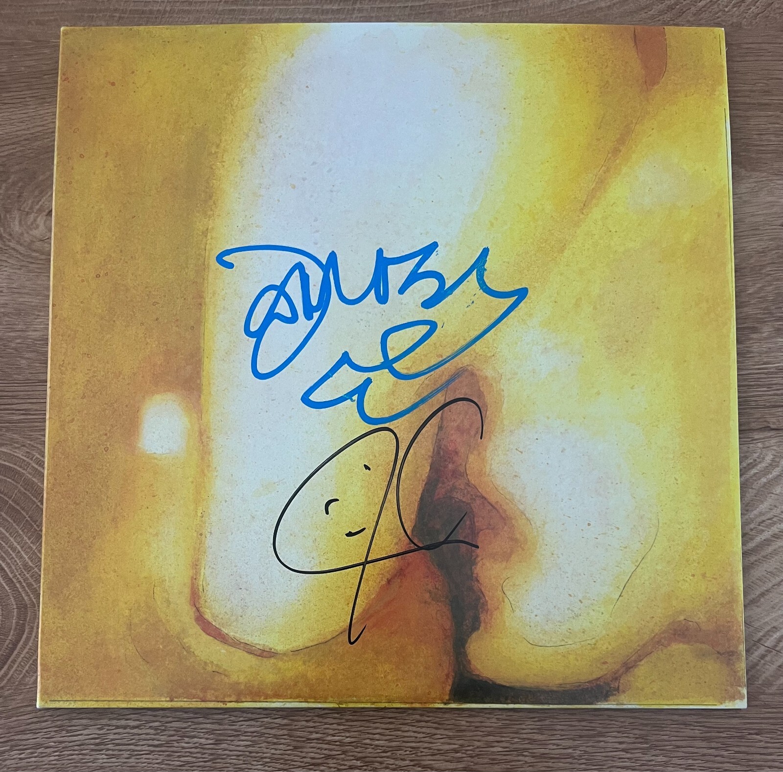 * THE SMASHING PUMPKINS * signed album * PISCES ISCARIOT * JAMES & JIMMY * 1
