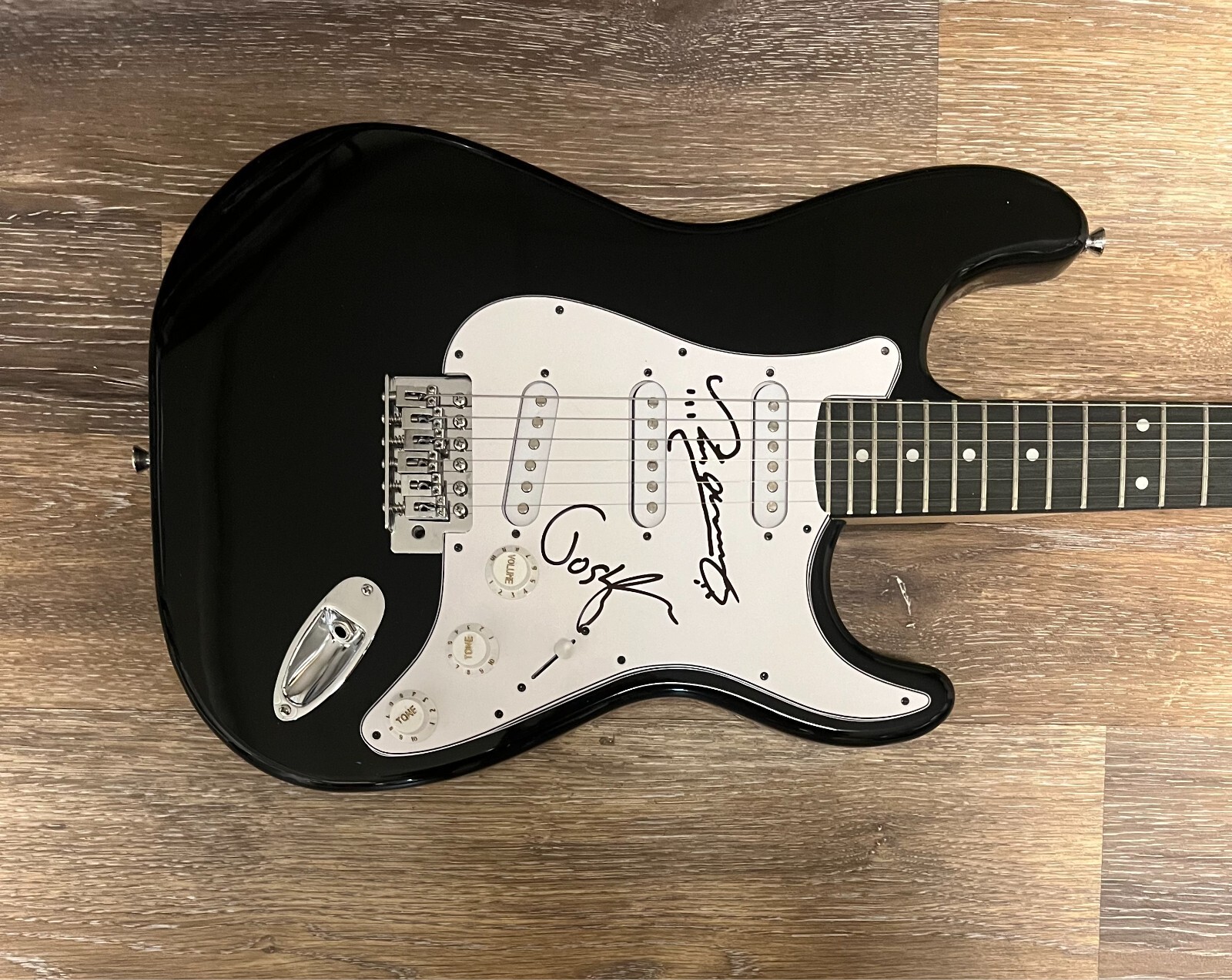 * THE TESKEY BROTHERS * signed electric guitar * JOSH & SAM TESKEY *