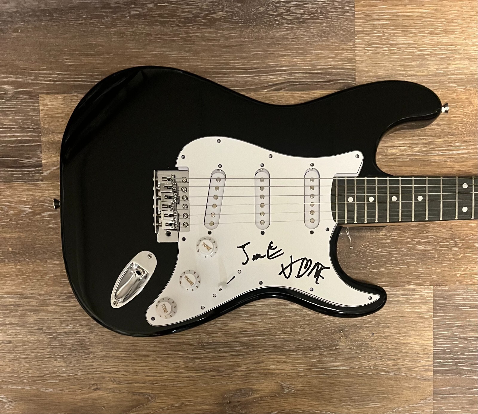 * THE VANDALS * signed electric guitar * JOE ESCALANTE & WARREN FITZGERALD *