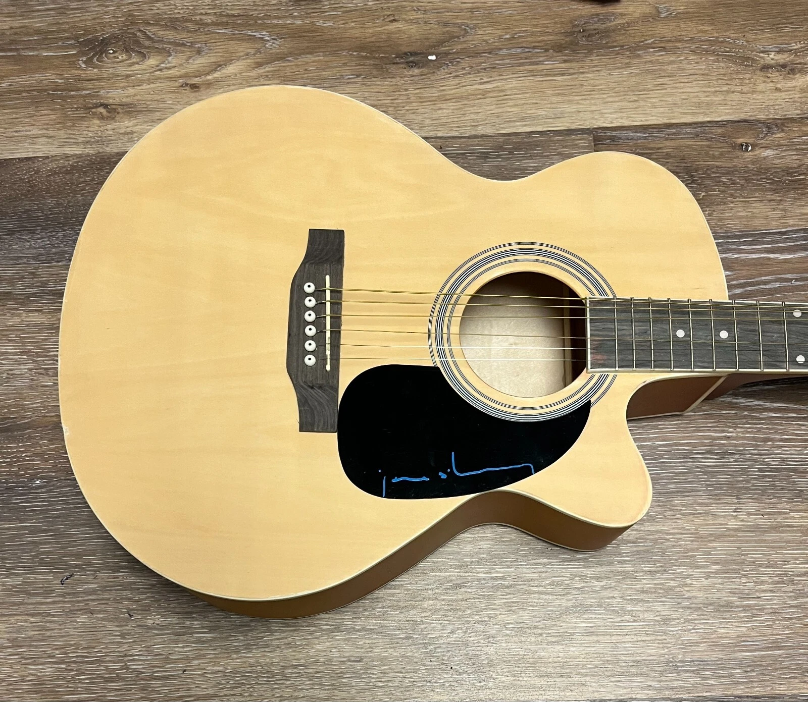 * JANE SIBERRY * signed acoustic guitar * MIMI ON THE BEACH *