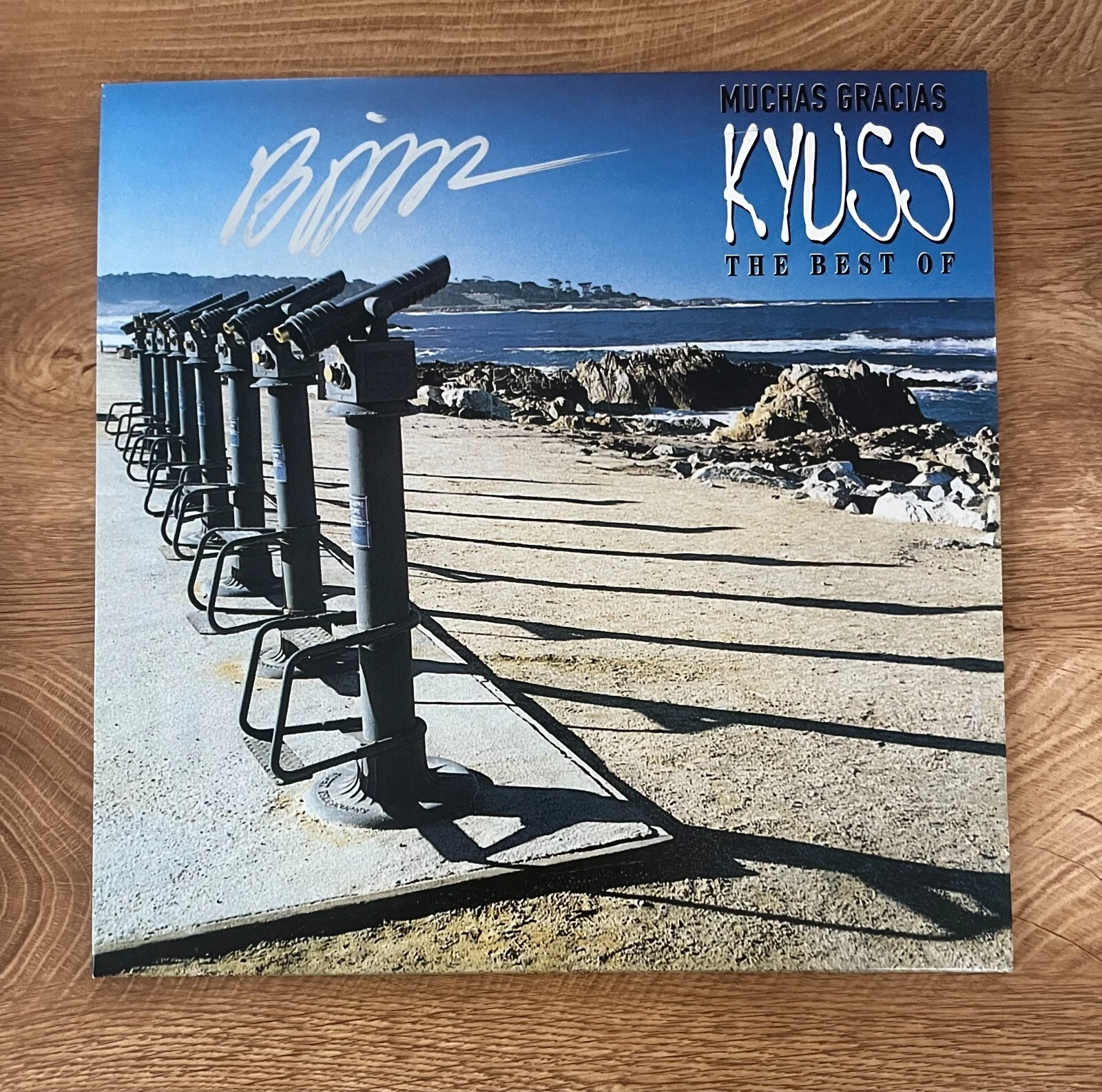 * BRANT BJORK * signed vinyl album * THE BEST OF KYUSS * MUCHAS GRACIAS *