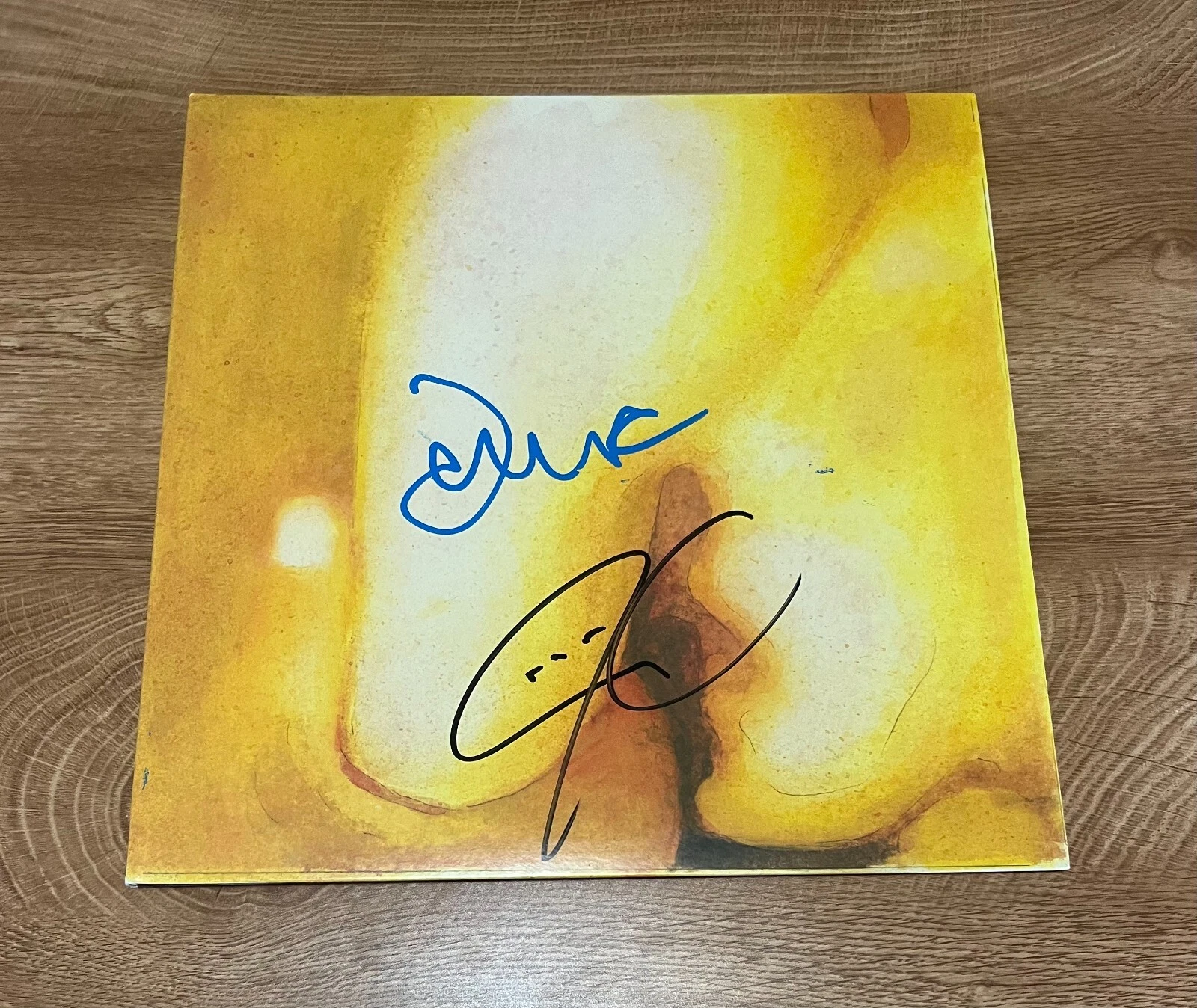 * THE SMASHING PUMPKINS * signed album * PISCES ISCARIOT * JAMES & JIMMY * 2