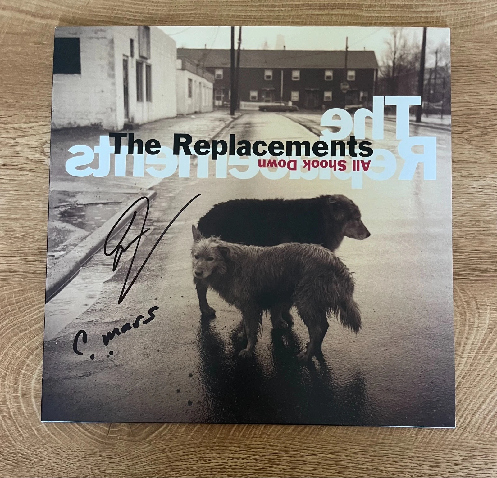 * THE REPLACEMENTS * signed album * TOMMY STINSON & CHRIS MARS * ALL SHOOK DOWN