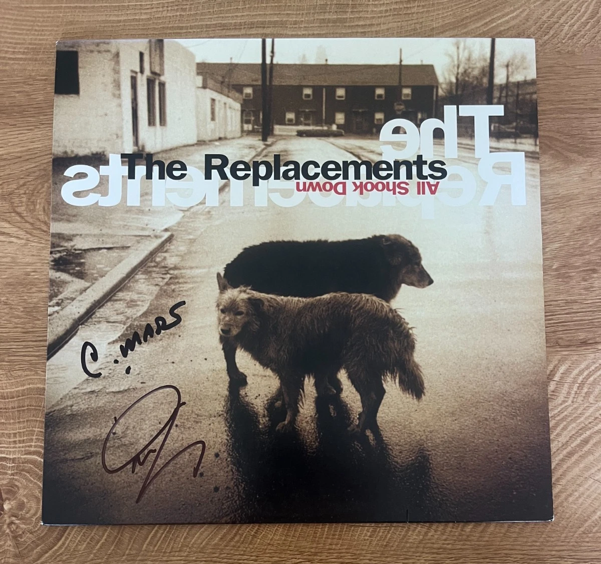 * THE REPLACEMENTS * signed album * TOMMY STINSON & CHRIS MARS * ALL SHOOK DOWN