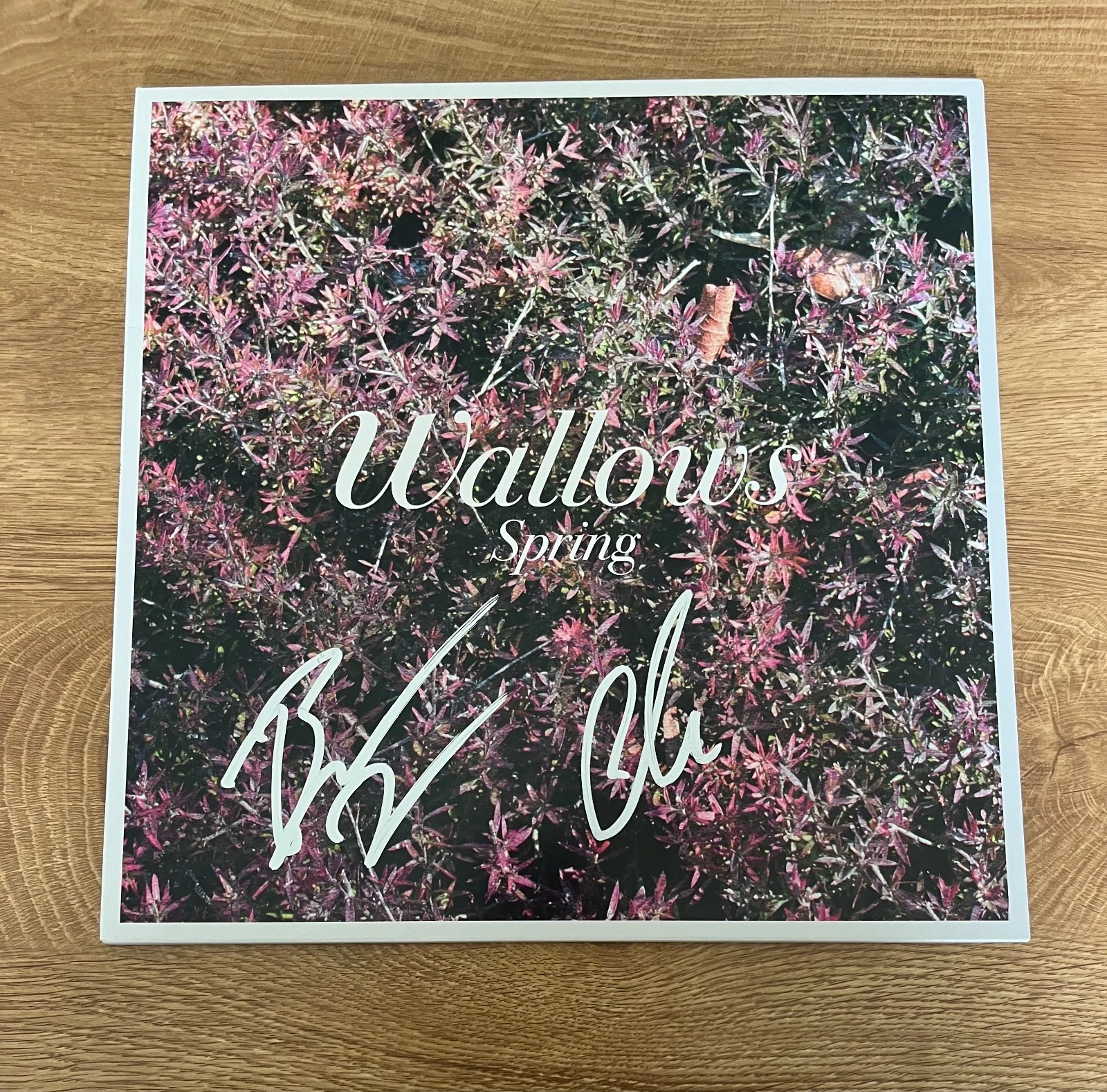 * WALLOWS * signed vinyl album * SPRING *