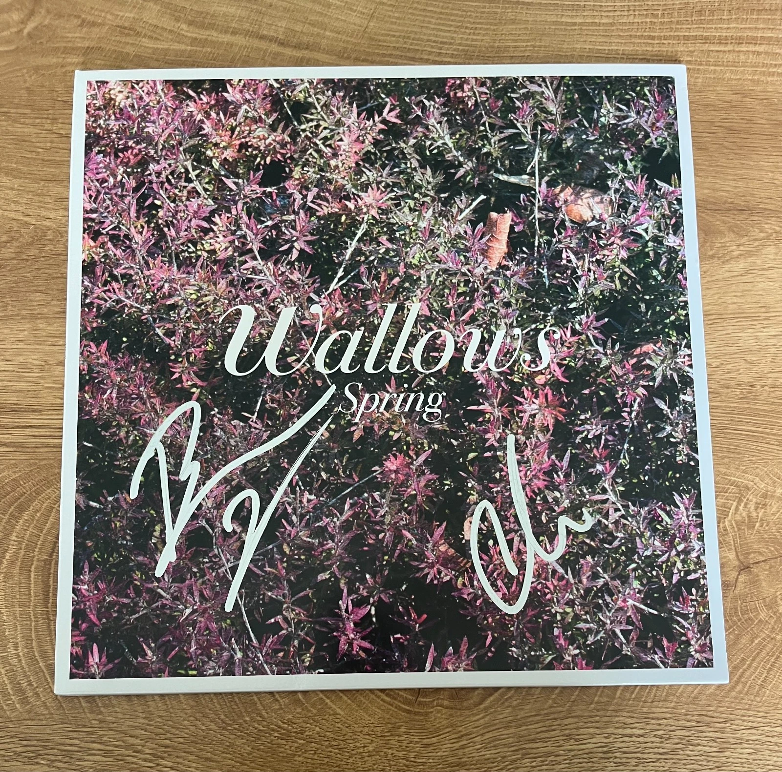 * WALLOWS * signed vinyl album * SPRING *