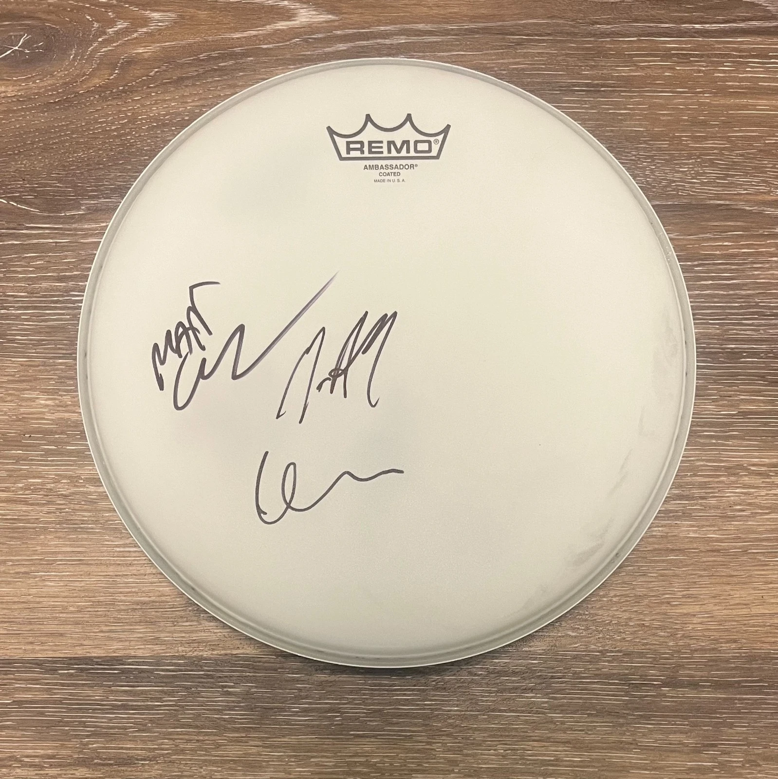 * PEARL JAM * SIGNED 14″ DRUMHEAD * MATT CAMERON, MATT CHAMBERLIN & DAVE KRUSEN COLLECTIBLE MEMORABILIA