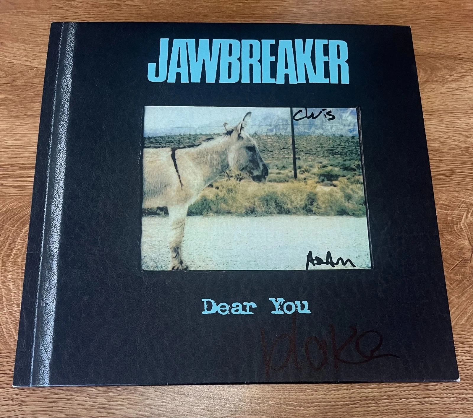 * JAWBREAKER * signed vinyl album * DEAR YOU *