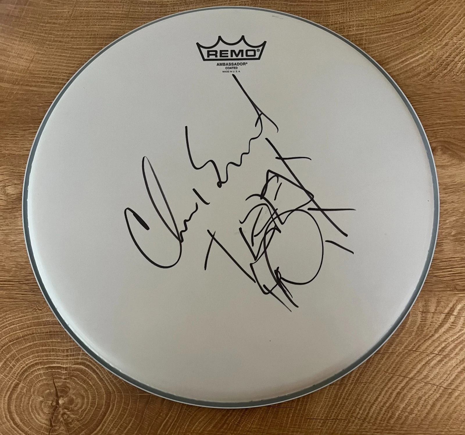 * CHAD SMITH * SIGNED 14″ REMO DRUMHEAD * RED HOT CHILI PEPPERS * SKETCH * COLLECTIBLE MEMORABILIA