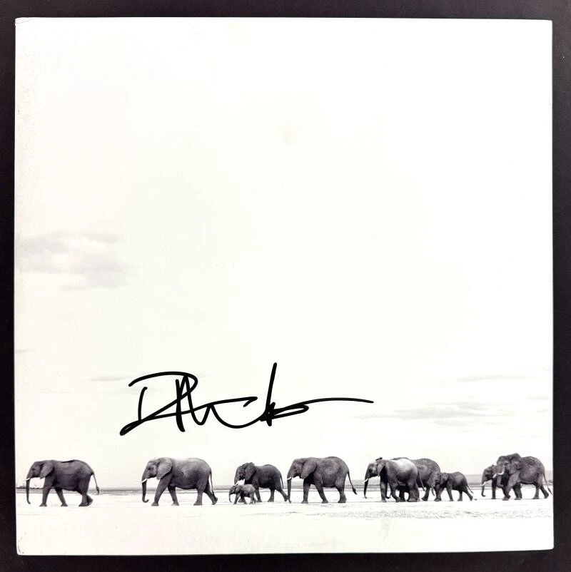 Dave Matthews Signed Autograph Album Vinyl Record LP - The Singles Beckett COA