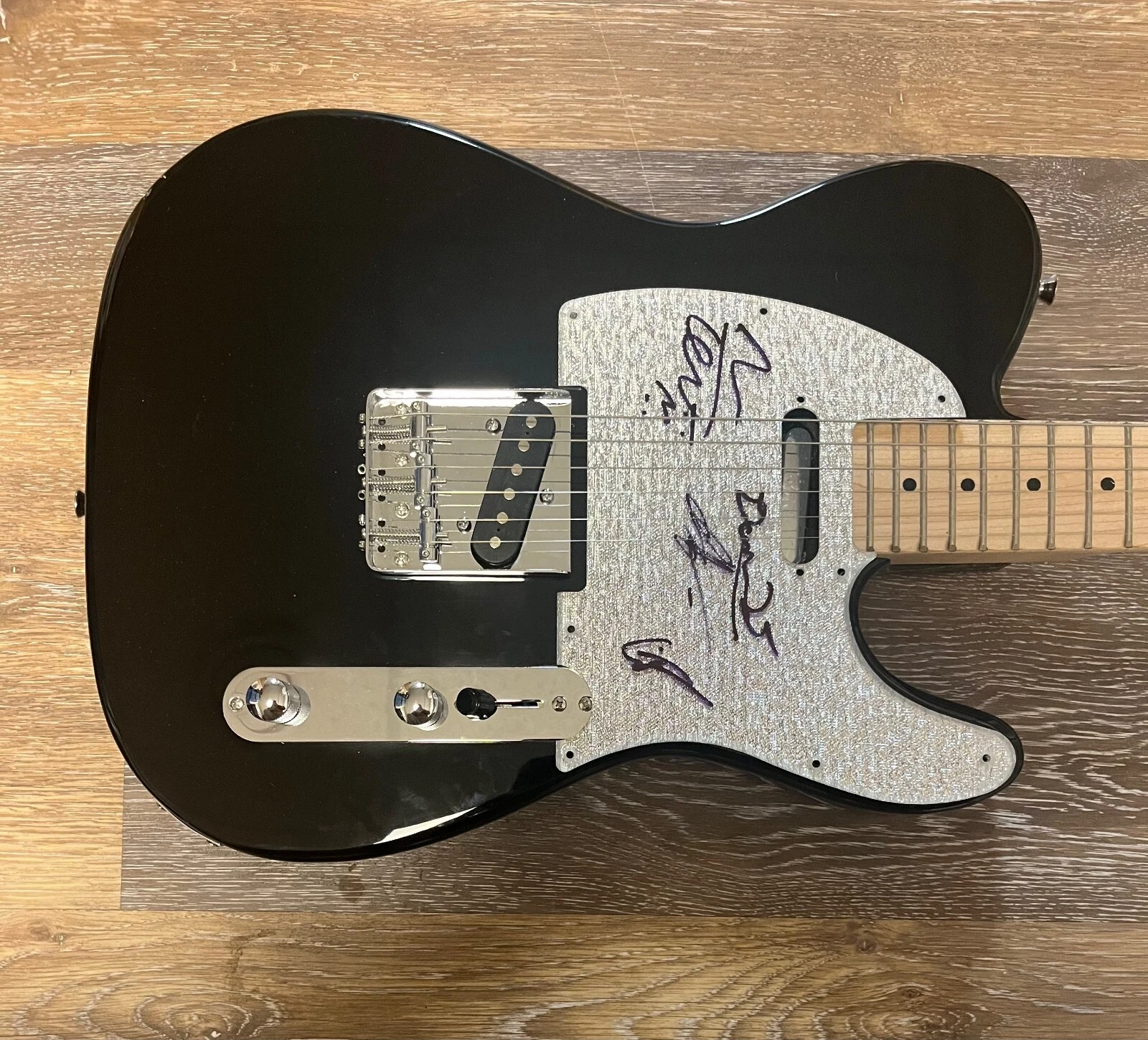 * GEESE * signed electric guitar * BAND * PROJECTOR * 3D COUNTRY *