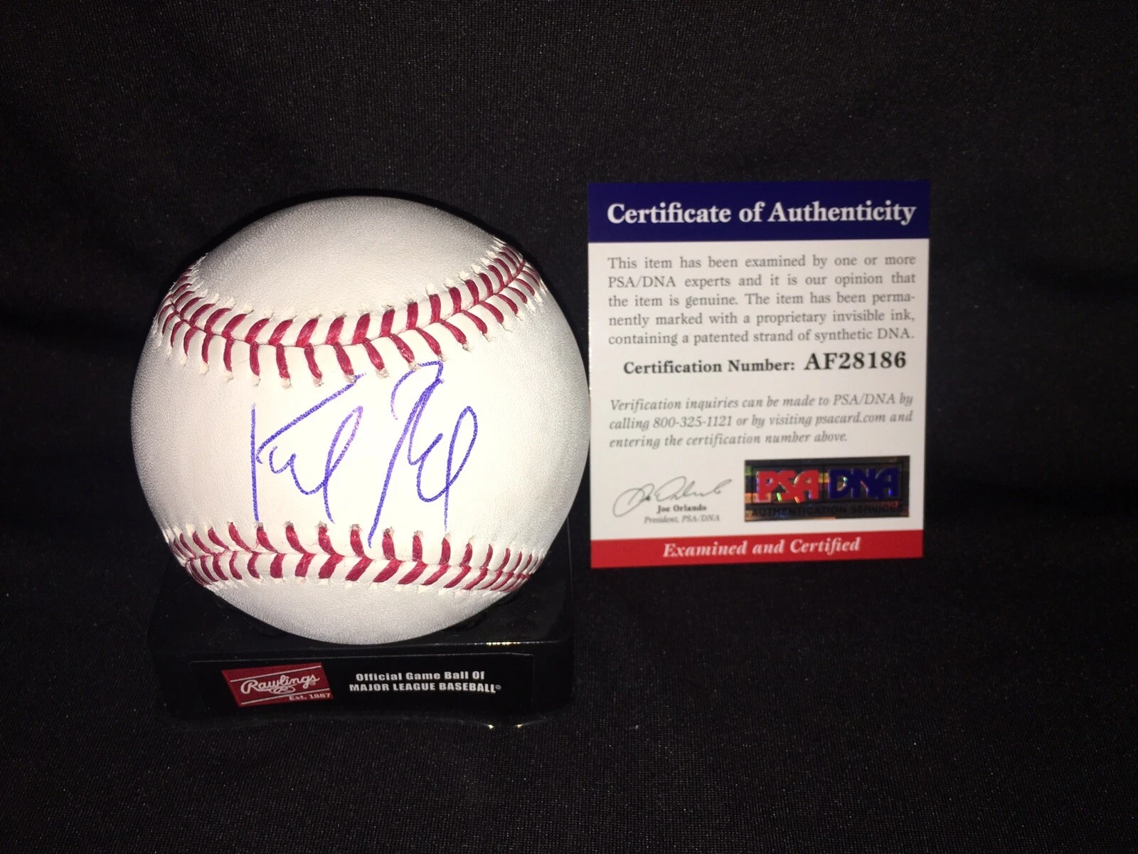 Keibert Ruiz Signed Major League Baseballs Los Angeles Dodgers Star PSA/DNA