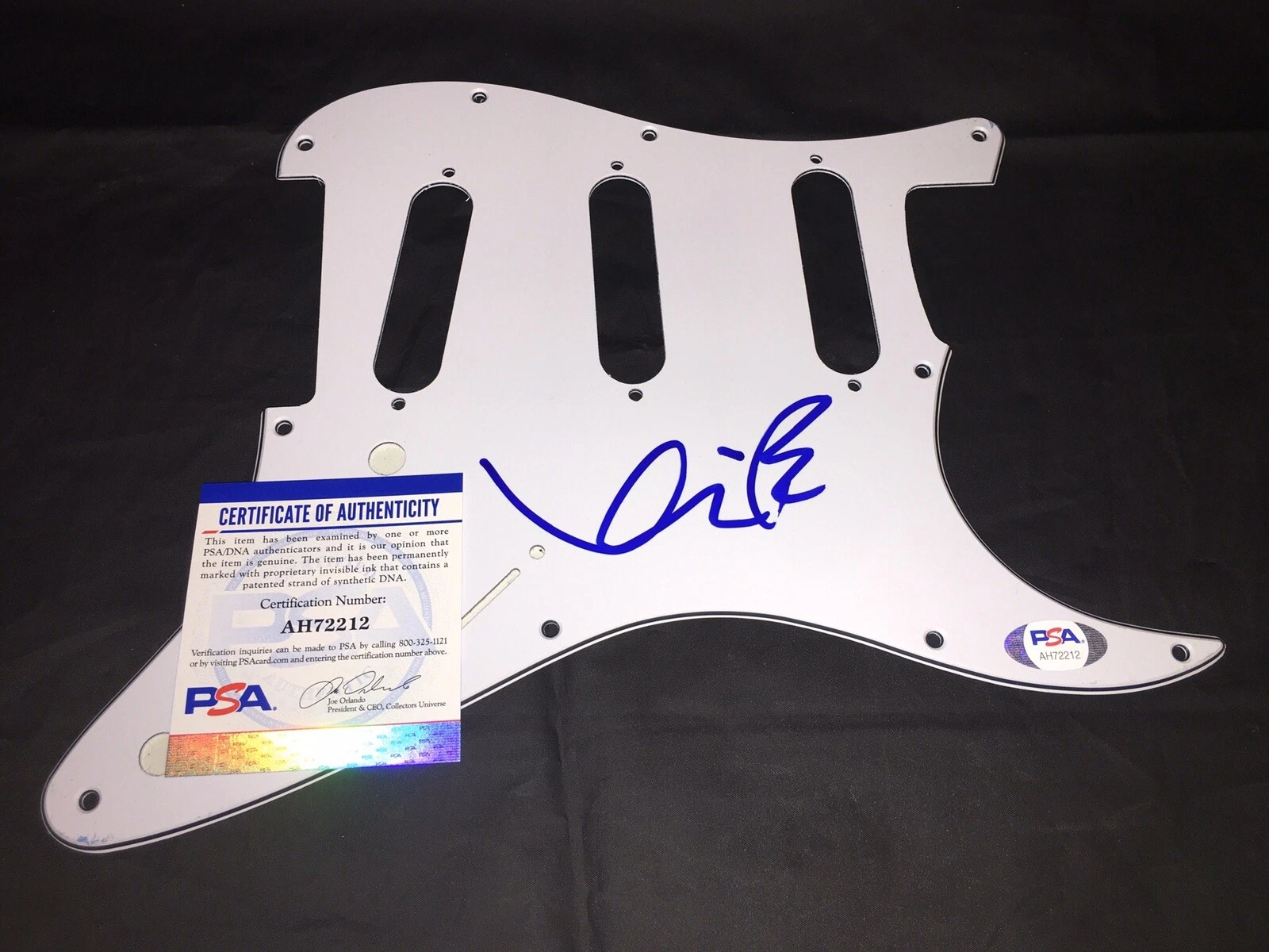 Kevin Bacon Signed Strat Pickguard Footloose The Bacon Brothers PSA/DNA