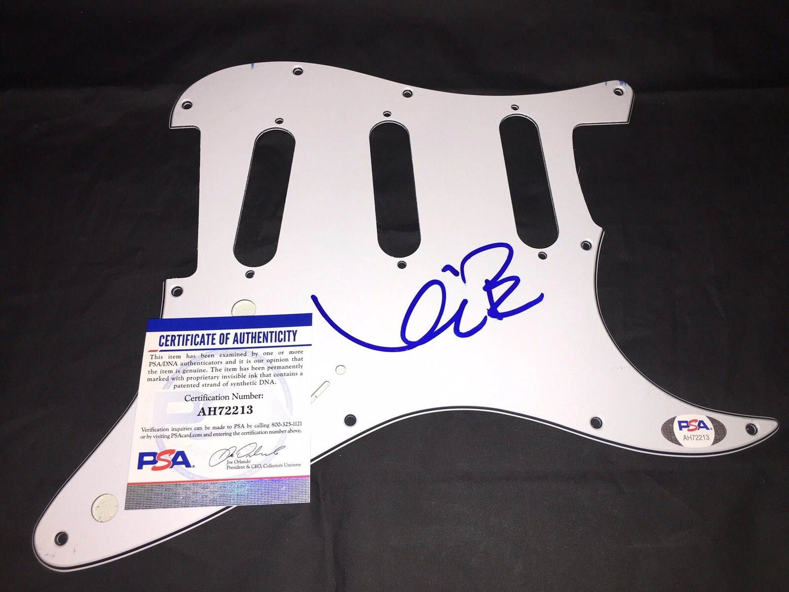 Kevin Bacon Signed Strat Pickguard Footloose The Bacon Brothers PSA/DNA #2