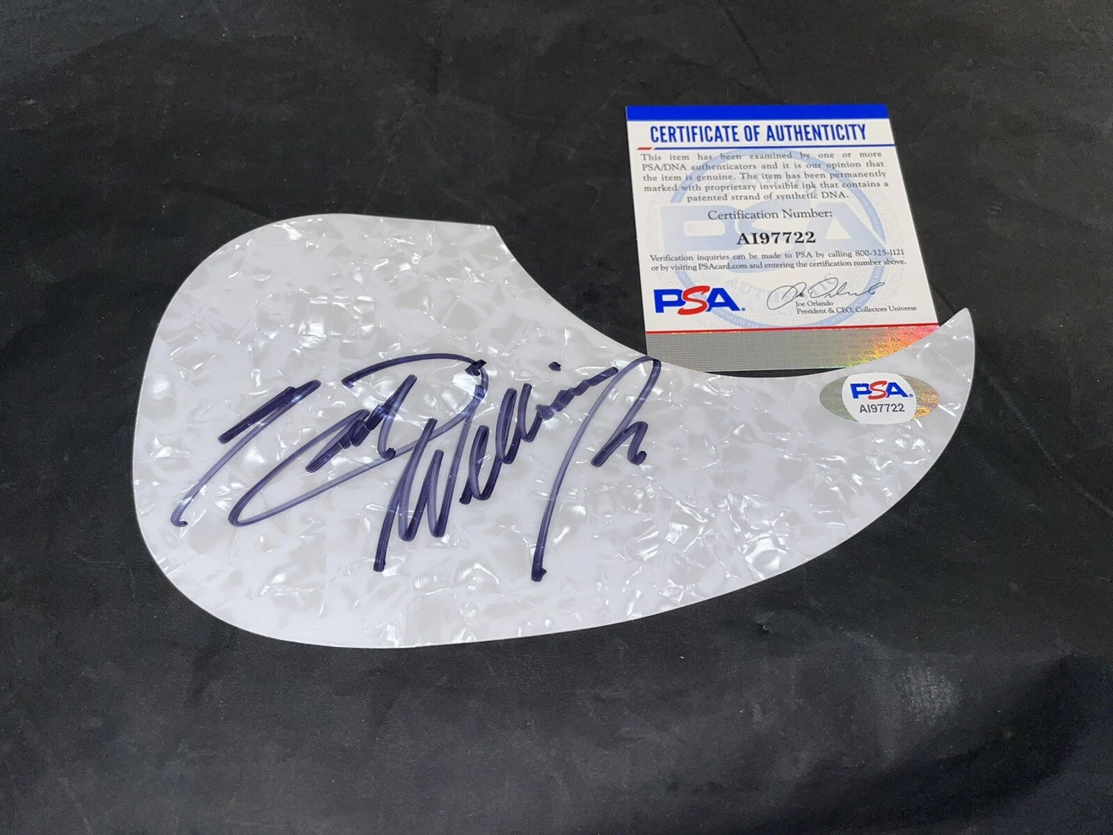 Hank Williams Jr Signed Acoustic Pickguard Country Music Legend PSA/DNA #5
