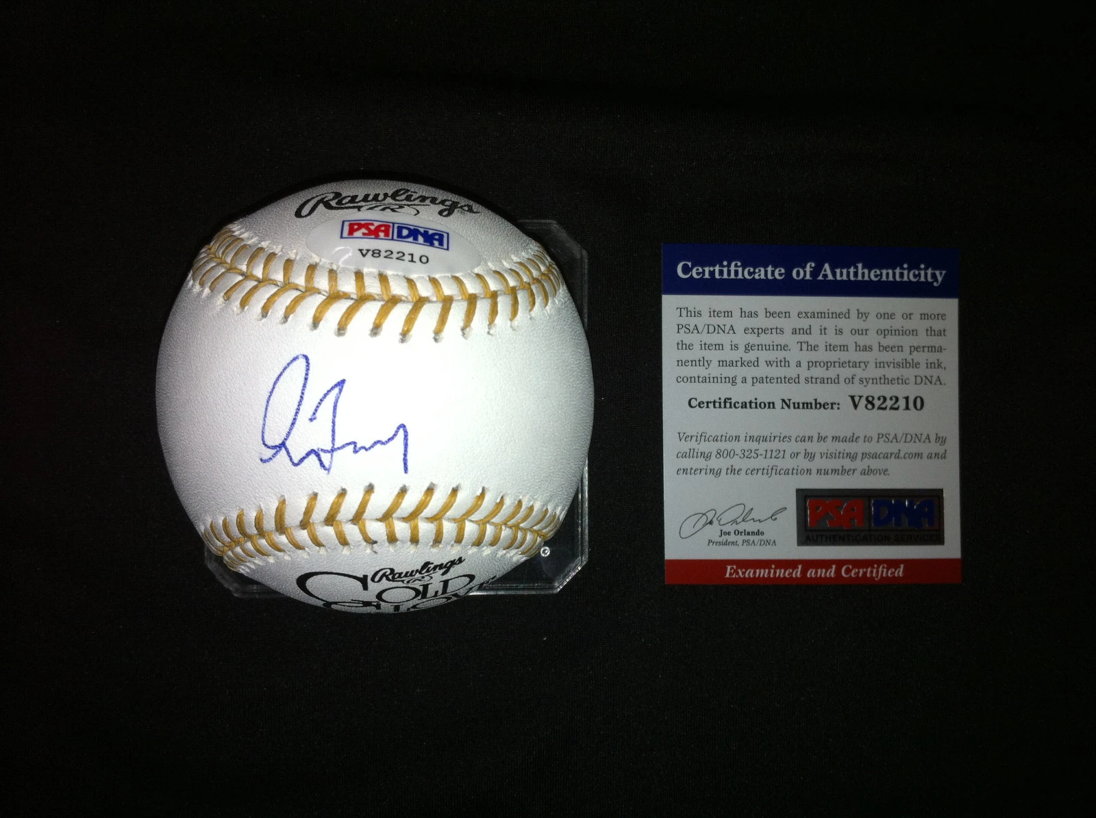 Greg Maddux signed Official Rawlings Gold Glove baseball Braves Cubs HOF PSA/DNA