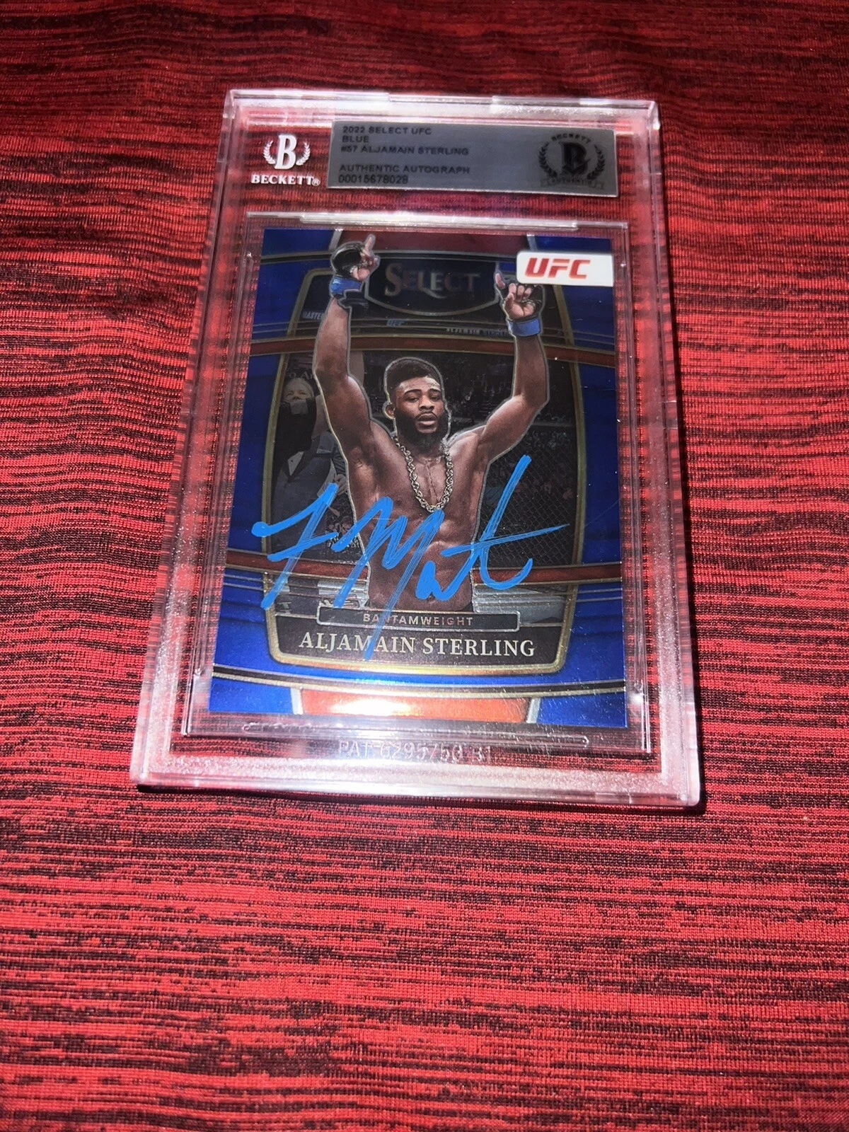 Aljamain Sterling Signed 2022 Panini Select Blue UFC Trading Card Champ Beckett