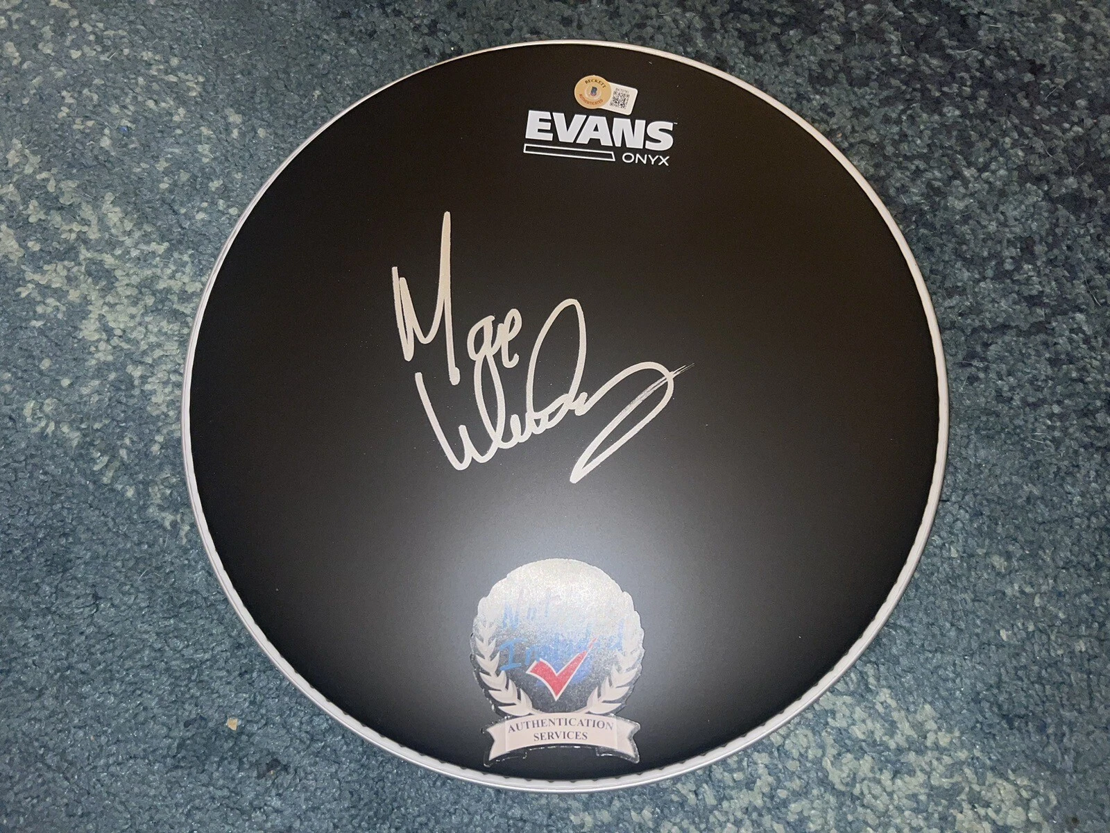 Max Weinberg Signed Evans 12” Drumhead E Street Band Drummer Legend Beckett