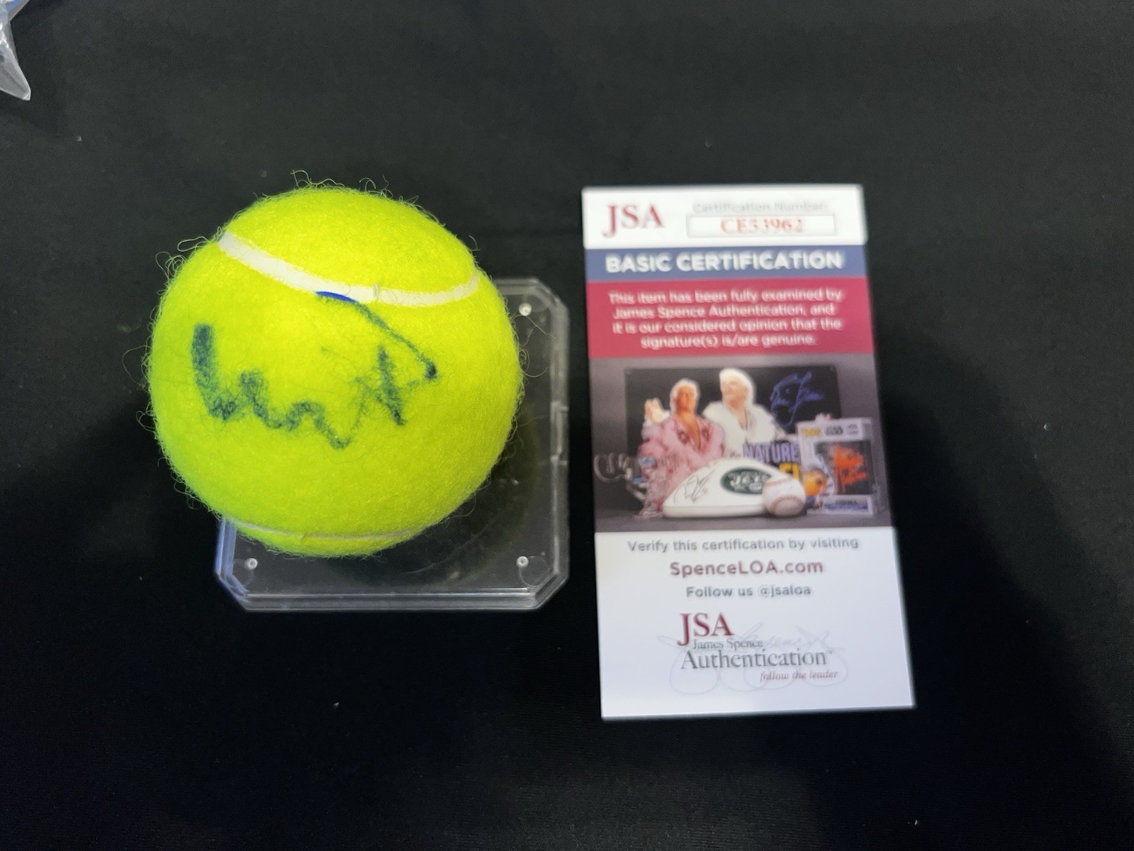 Donna Vekic Signed Official Penn Tennis Ball WTA Superstar JSA Auth