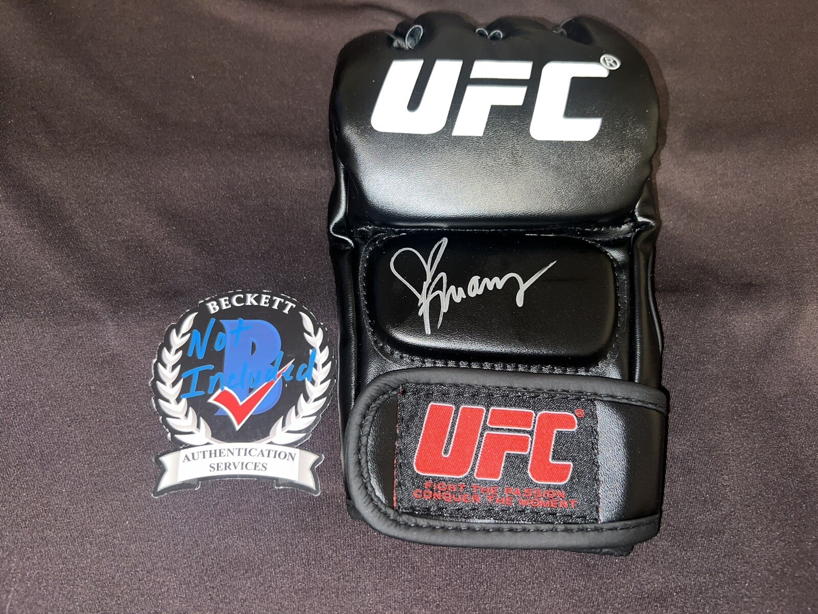 Arianny Celeste Signed UFC Glove UFC Ring Girl Sexy Beckett #2