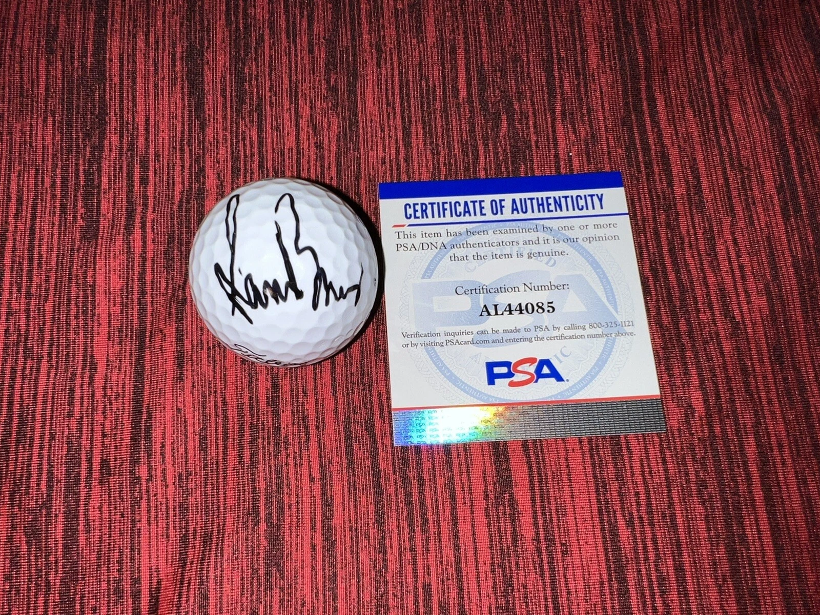 Sam Burns Signed Official Titleist  Velocity Golf Ball PGA PSA/DNA