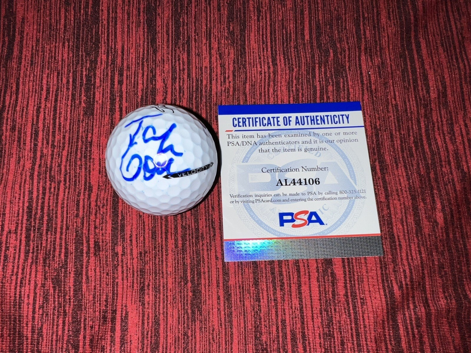 Talor Gooch Signed Titleist Velocity Golf Ball PGA Pro PSA/DNA #2