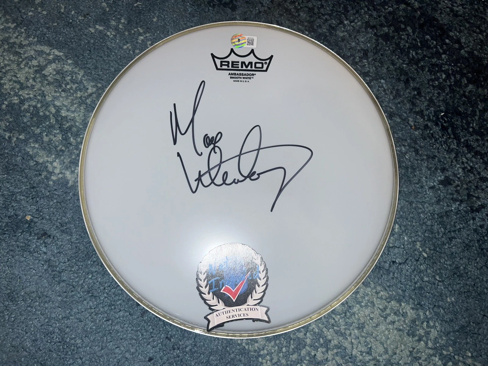Max Weinberg Signed Remo 12” Drumhead E Street Band Drummer Legend Beckett