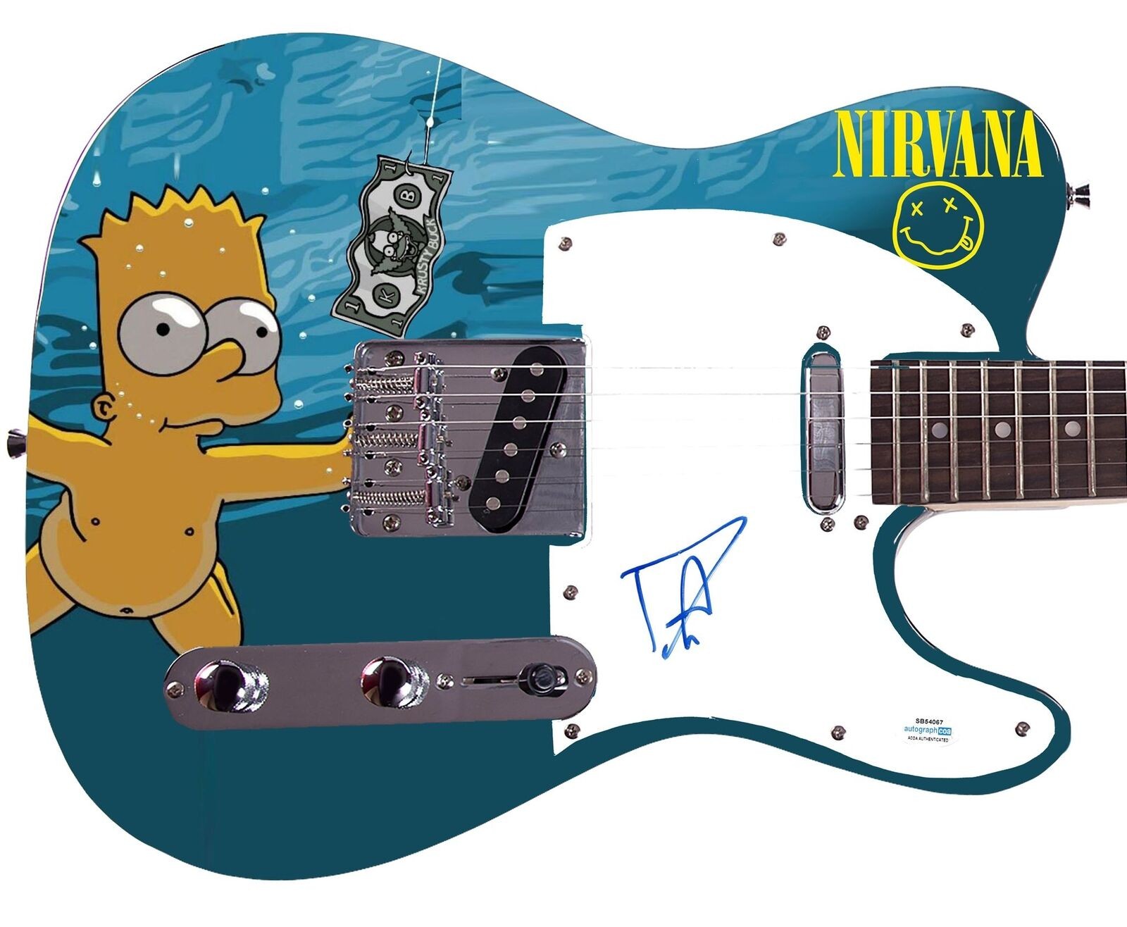 Nirvana Foo Fighters Dave Grohl Autographed Simpsons Album Graphics Photo Guitar