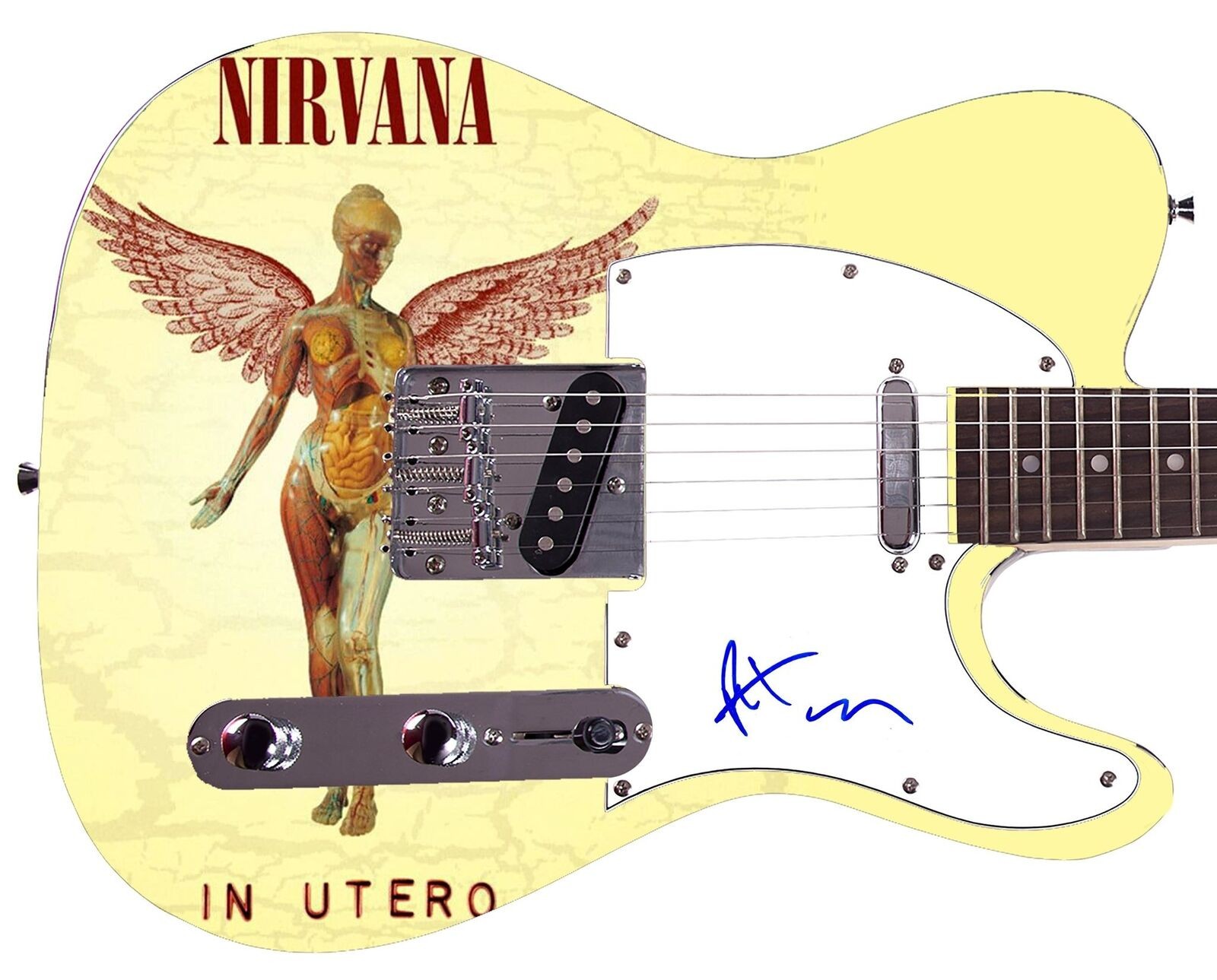 Nirvana Pat Smear Signed Custom 1/1 Graphics Photo Guitar