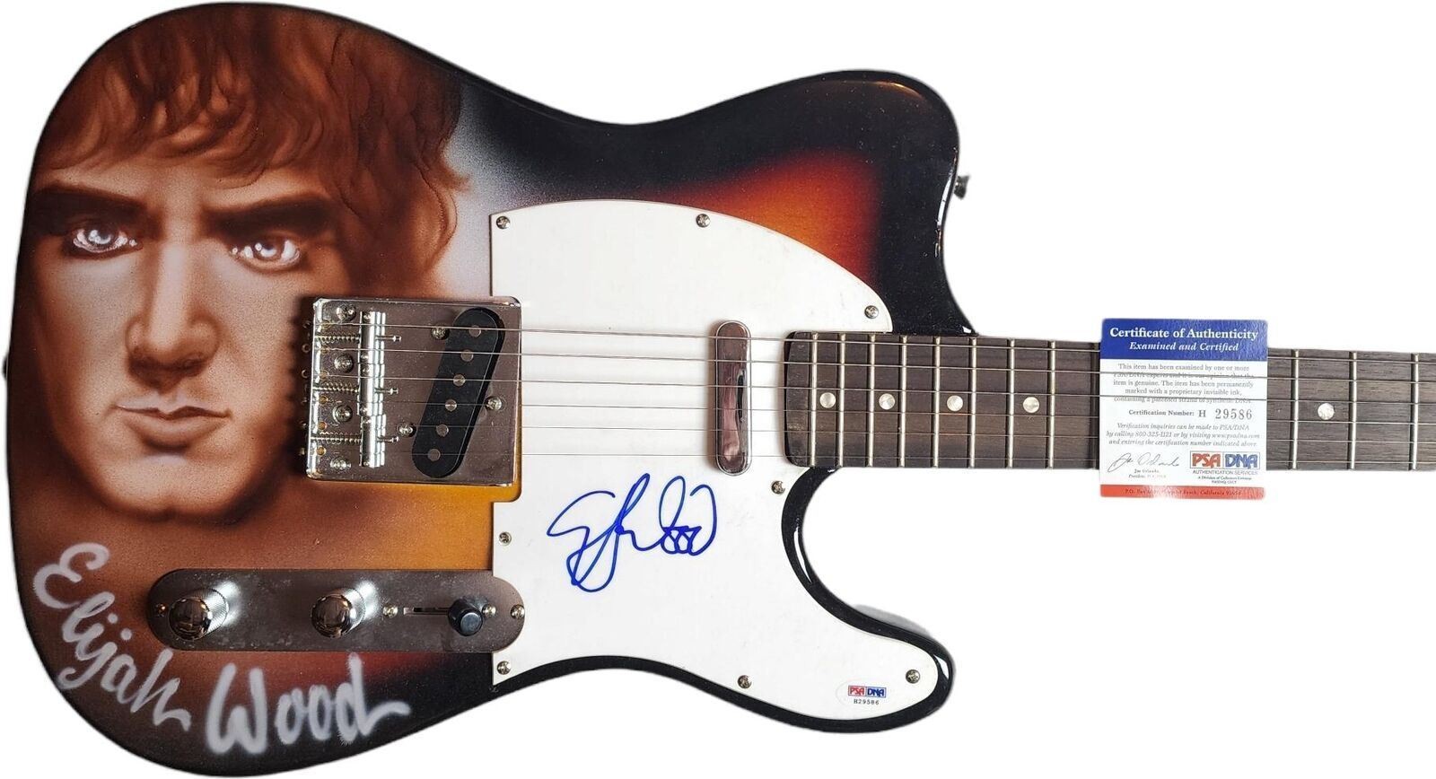 Lord of The Rings Elijah Wood Signed Autographed Hand Airbrushed Painting Guitar