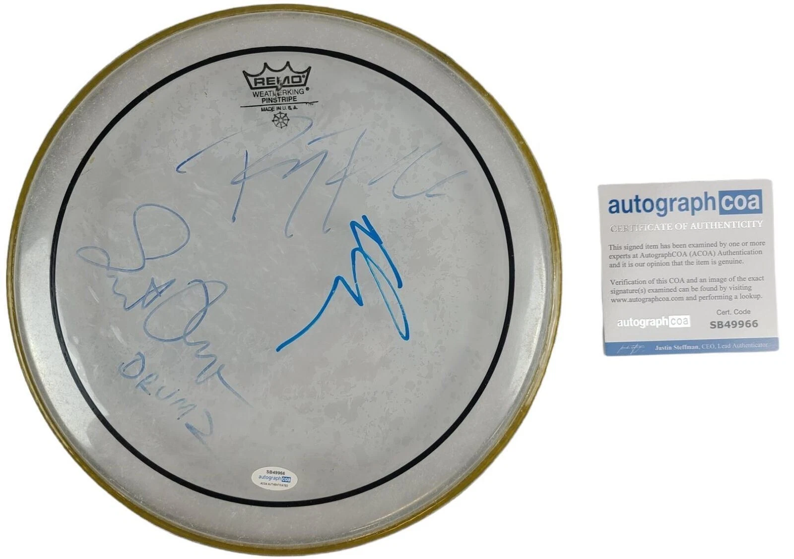 Jane's Addiction Signed Concert Used 12 Inch Drum Head Drumhead ACOA
