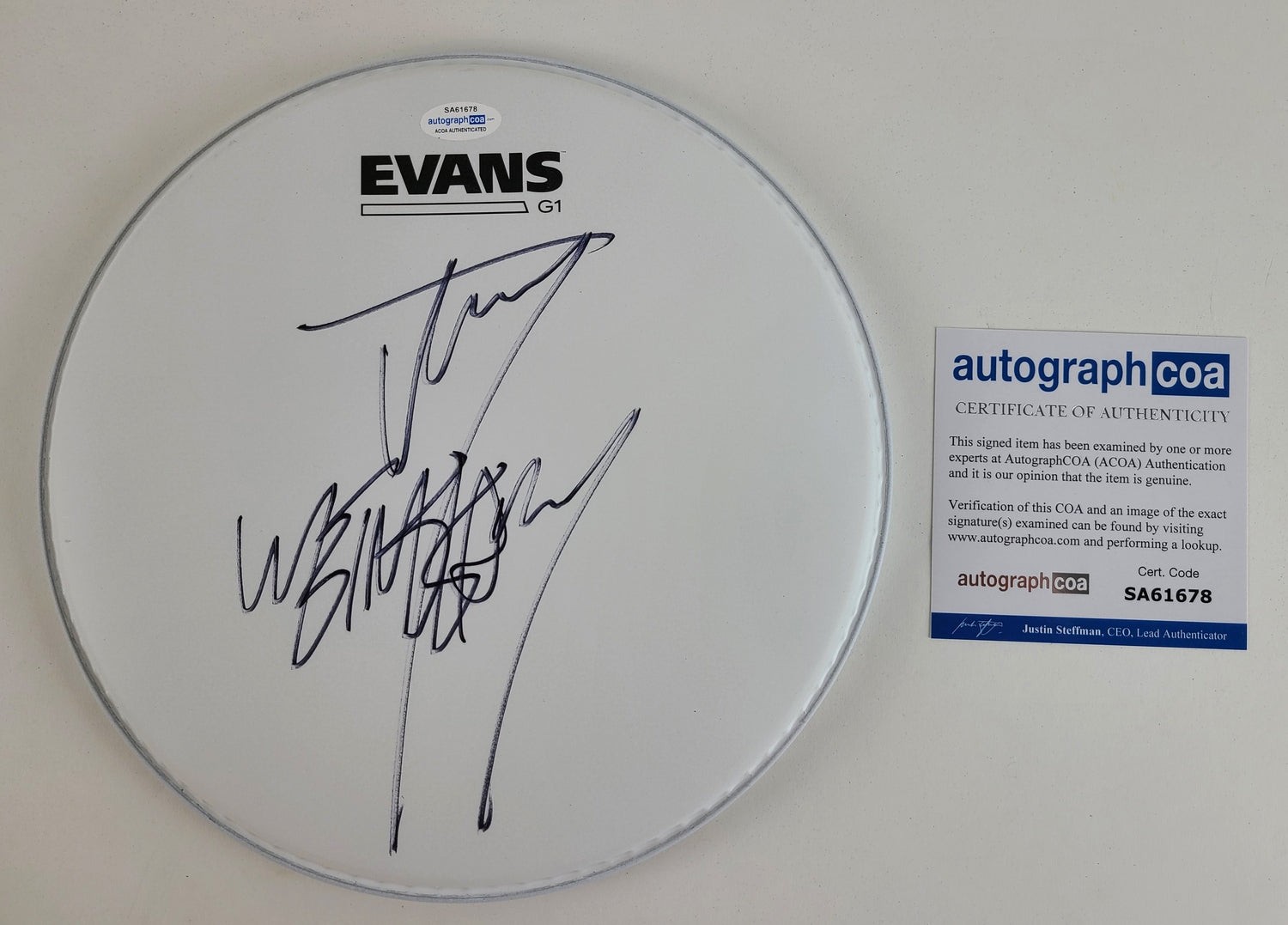 Slipknot Jay Weinberg Signed Evans Drumhead ACOA