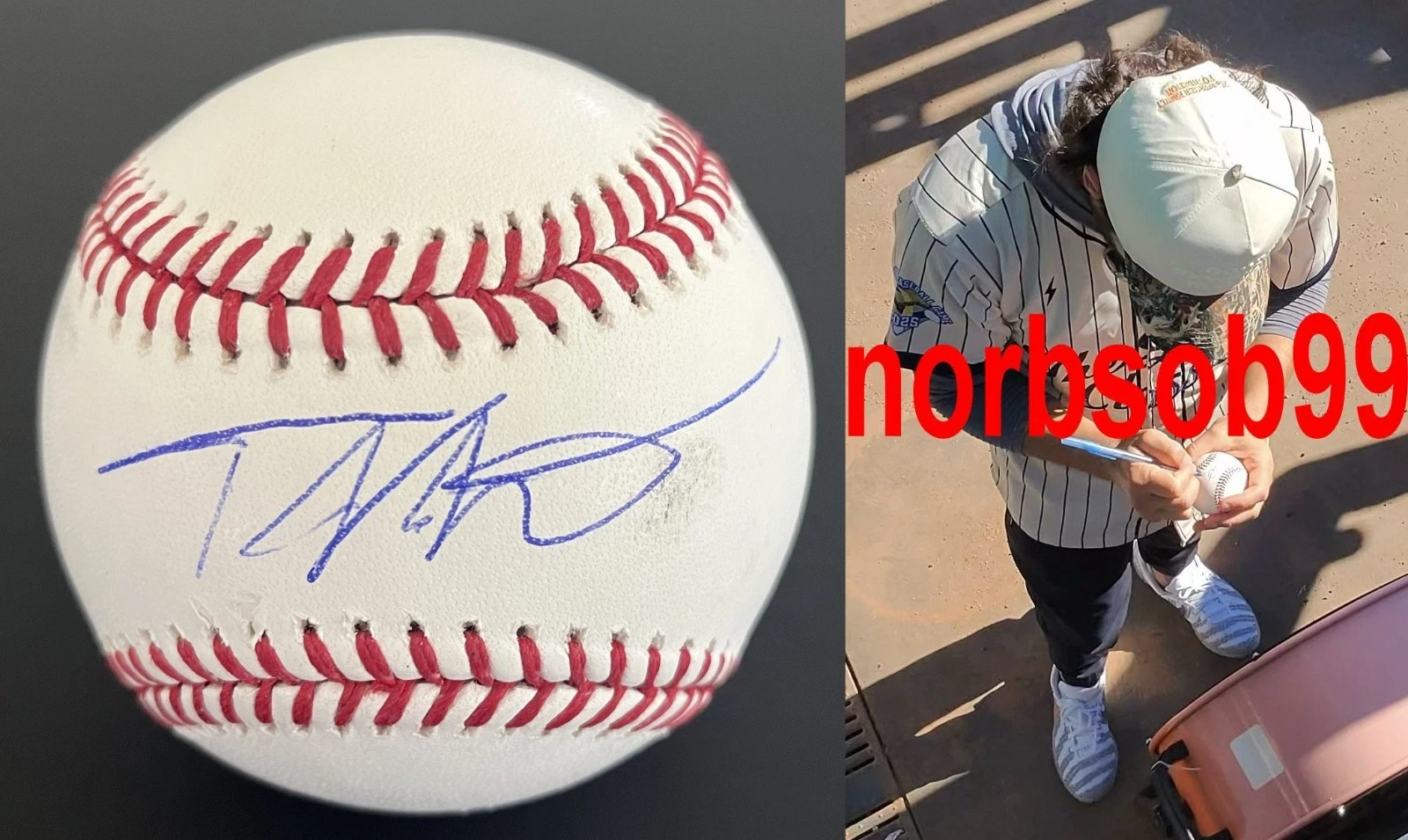 TONY VITELLO SAN FRANCISCO GIANTS SIGNED MLB BASEBALL w/EXACT PROOF BECKETT COA