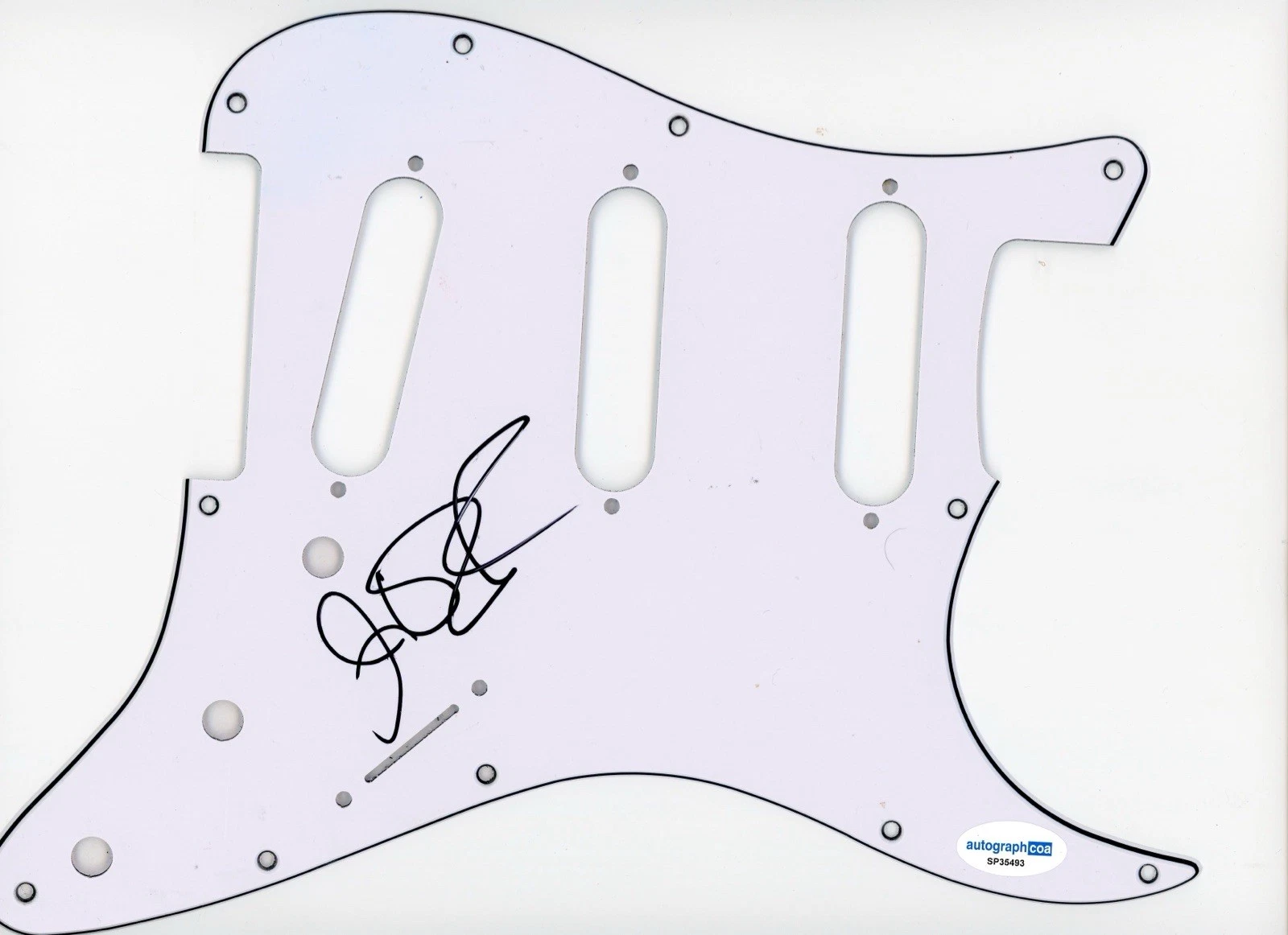 JOHNNY VAN ZANT SIGNED AUTOGRAPH STRAT GUITAR PICKGUARD ACOA LYNYRD SKYNYRD
