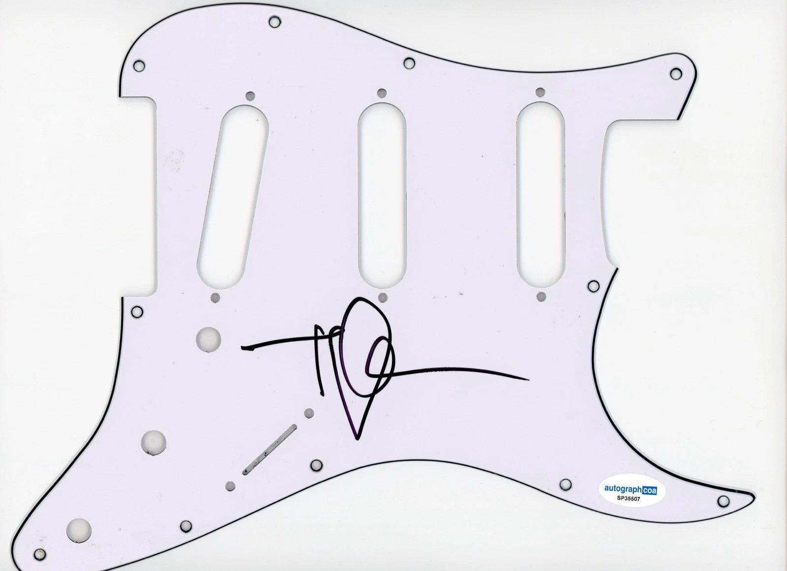 TYLER GLENN NEON TREES SIGNED AUTOGRAPH STRAT GUITAR PICKGUARD ACOA ELECTRIC