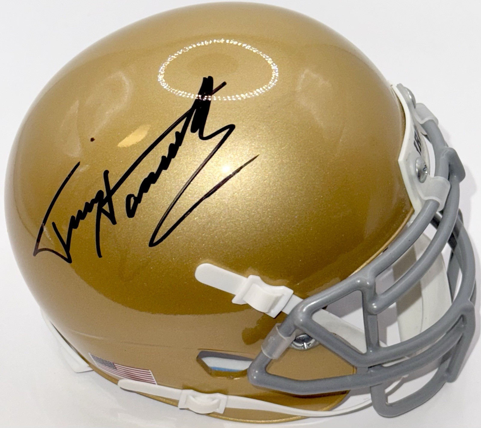 TERRY HANRATTY SIGNED AUTOGRAPHED NOTRE DAME FIGHTING IRISH MINI HELMET PSA/DNA COLLECTIBLE MEMORABILIA