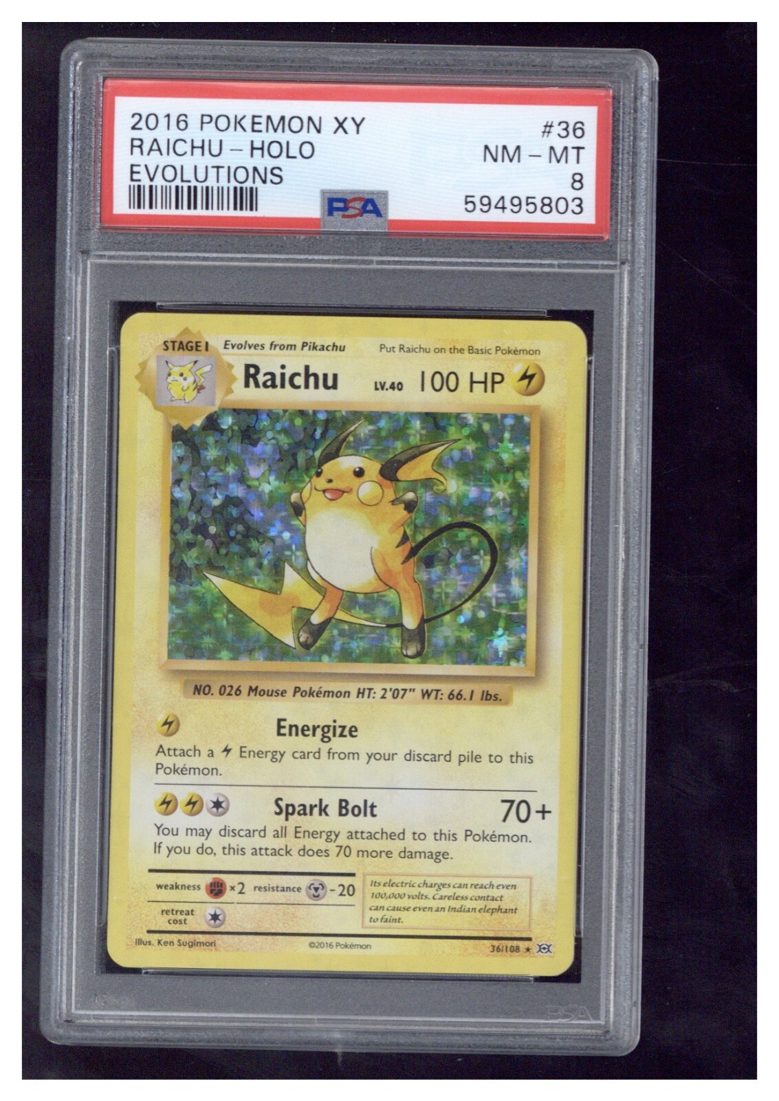 2016 Pokemon XY Evolutions 36 Raichu-Holo PSA 8