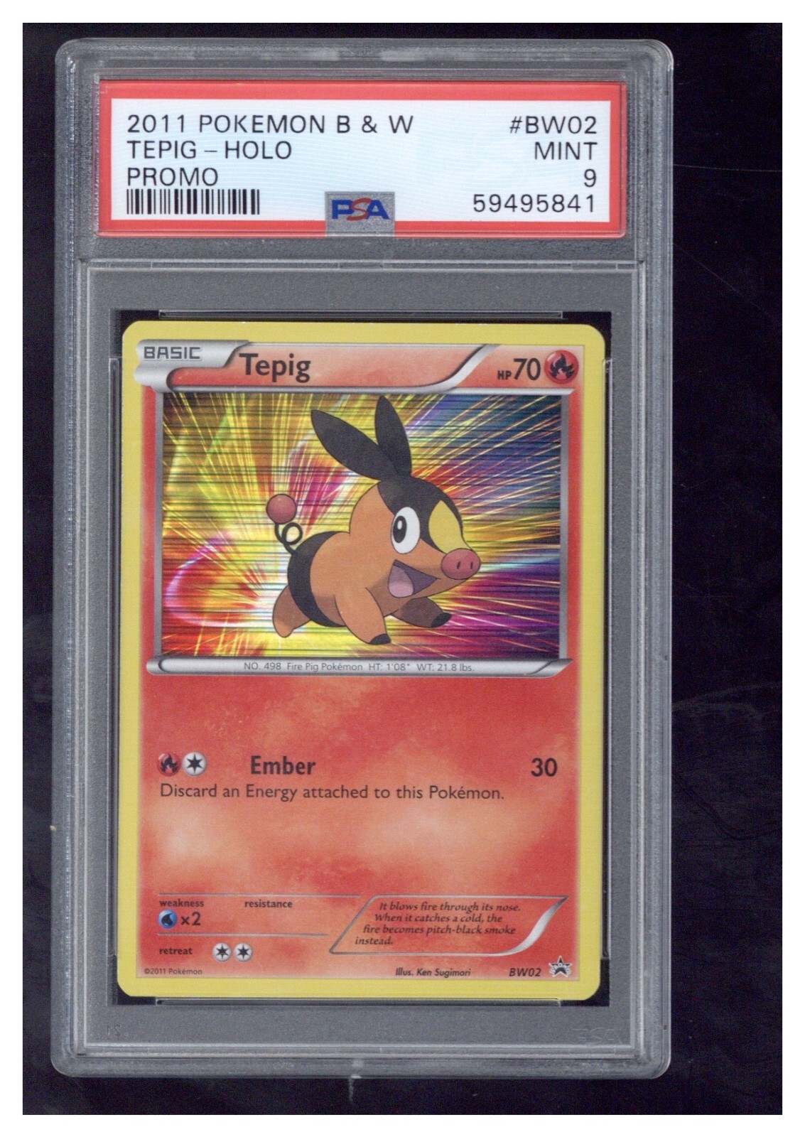 2011 Pokemon Black & White Promo BW02 Tepig-Holo PSA 9