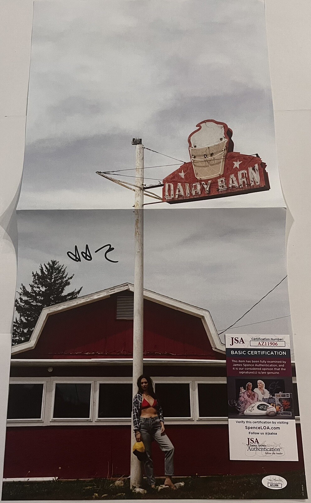 WAXAHATCHEE SIGNED TIGERS BLOOD VINYL INSERT POSTER KATIE CRUTCHFIELD JSA COA