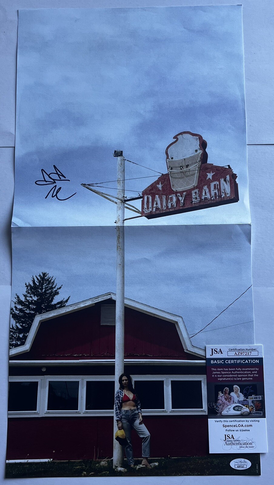 WAXAHATCHEE SIGNED TIGERS BLOOD VINYL INSERT POSTER KATIE CRUTCHFIELD JSA COA