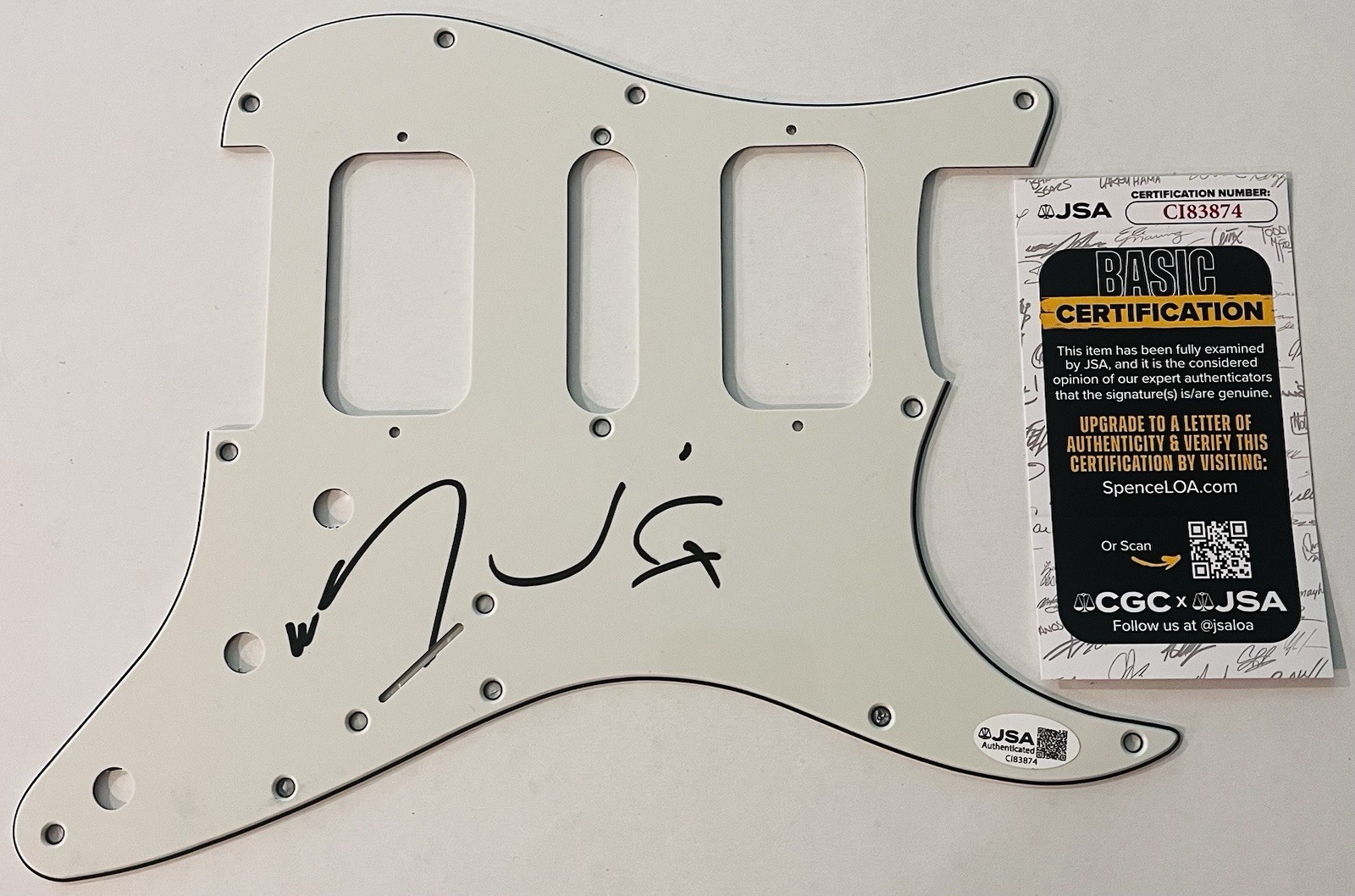 THE LUMINEERS SIGNED GUITAR PICKGUARD PICK GUARD AUTOGRAPH WESLEY SCHULTZ JSA