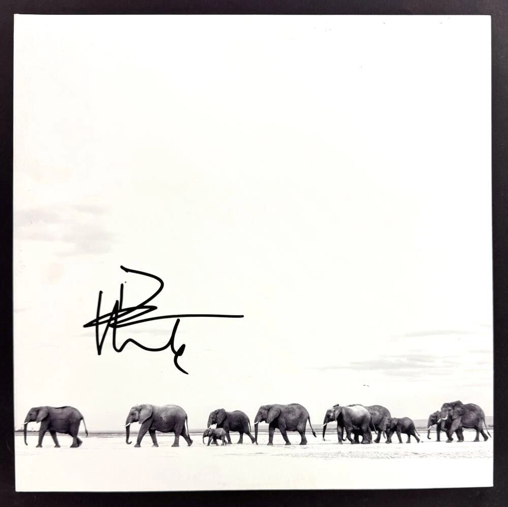 Dave Matthews Signed Autograph Album Vinyl Record - Band The Singles Beckett COA