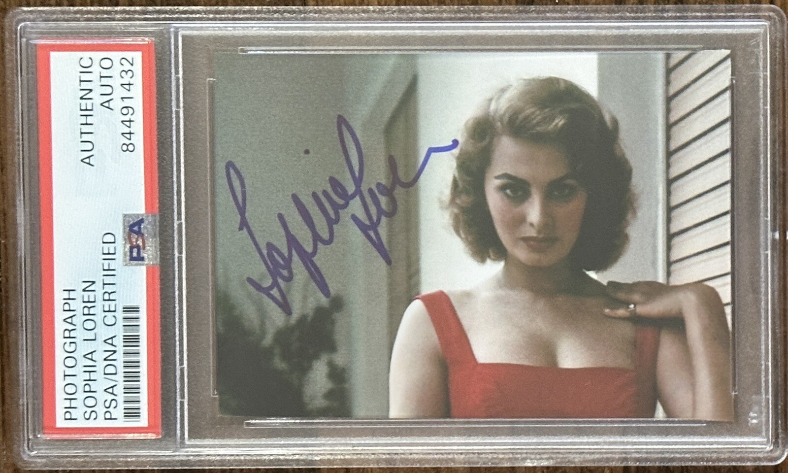 SOPHIA LOREN AUTOGRAPH PICTURE PSA DNA COA SIGNED SEXY SUPER MODEL PHOTOGRAPH