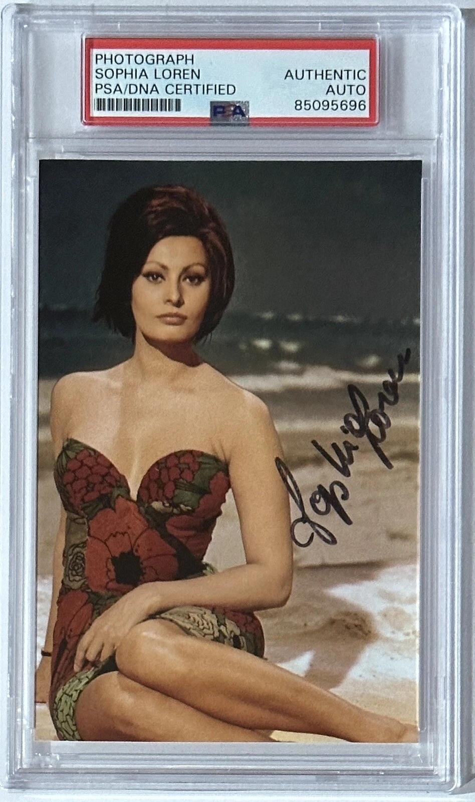 SOPHIA LOREN AUTOGRAPHED PSA DNA COA SIGNED SUPERMODEL PHOTOGRAPH SEXY SWIMSUIT