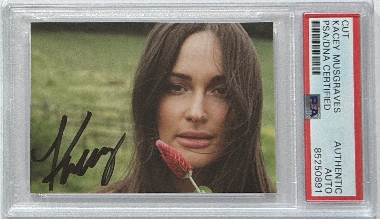 KACEY MUSGRAVES SIGNED PHOTOGRAPH PICTURE ALBUM COVER PSA DNA COA AUTOGRAPHED