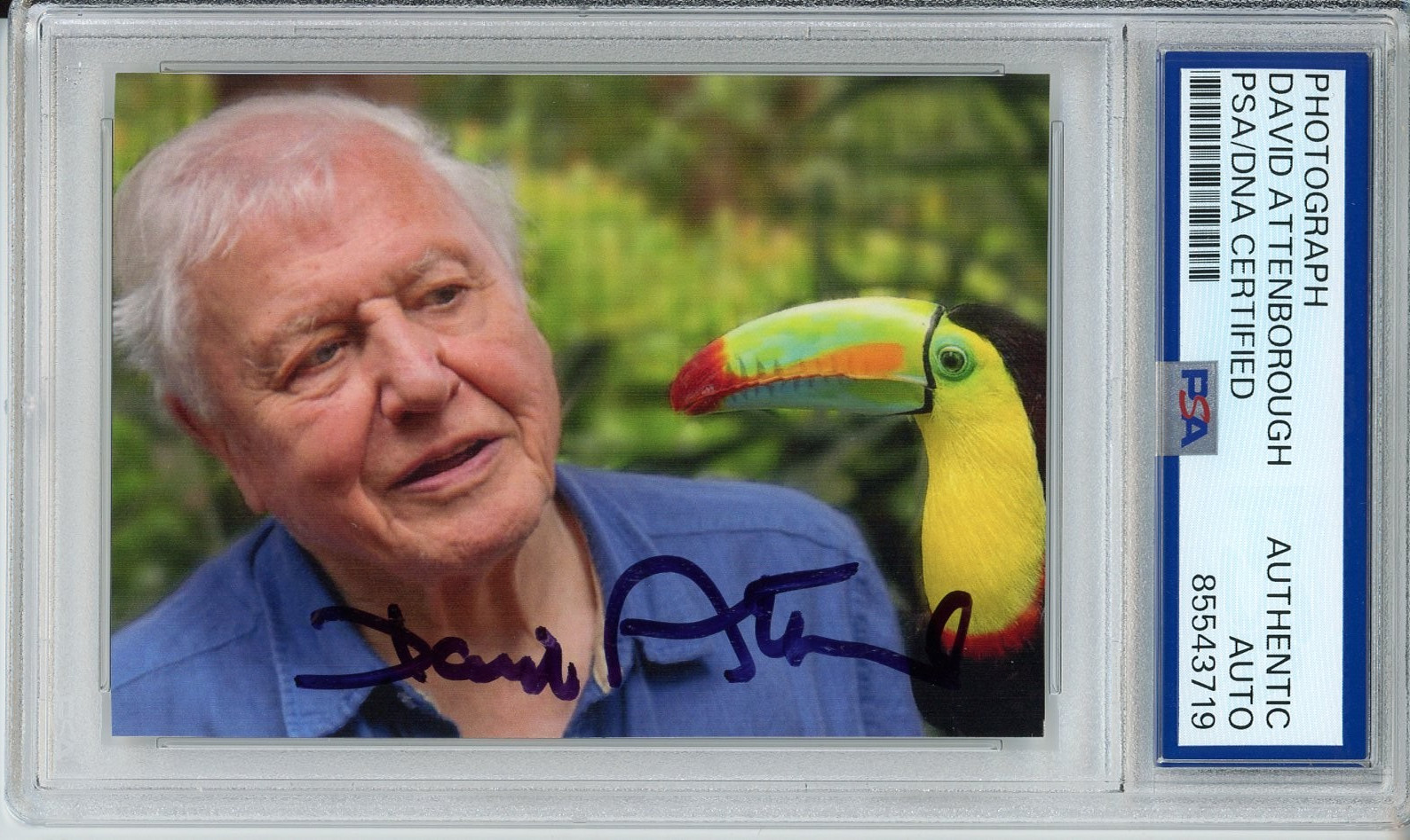 DAVID ATTENBOROUGH SIGNED AUTOGRAPH THE LIFE OF BIRDS PHOTOGRAPH PSA DNA COA